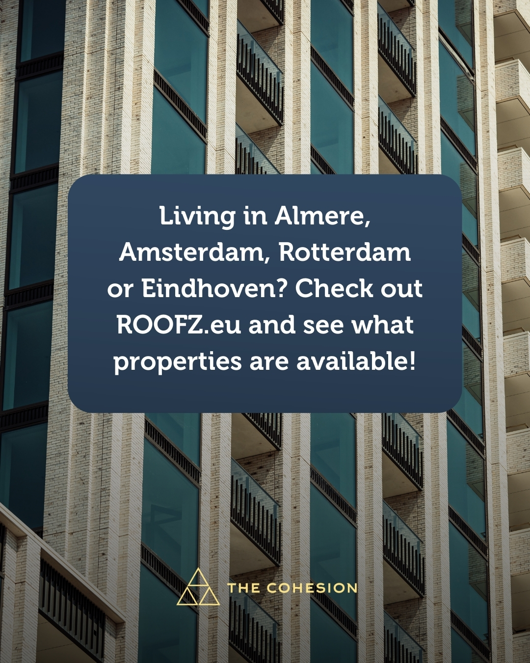 The Cohesion is a co-living community with locations in various cities across the Netherlands. As well as fully furnished rental apartments, The Cohesion locations also feature communal spaces, social activities and an on-site Community Manager!
Become part of the Cohesion community in Almere, Amsterdam, Eindhoven and Rotterdam!🏡🤝
#community #thecohesionlife #amsterdam #apartments #studios #colivinglife #colivingcommunity #colivingamsterdam #urbanliving #health #wellbeing #sustainable #social #ambition #renthouse #wonenrandstad #youngprofessional