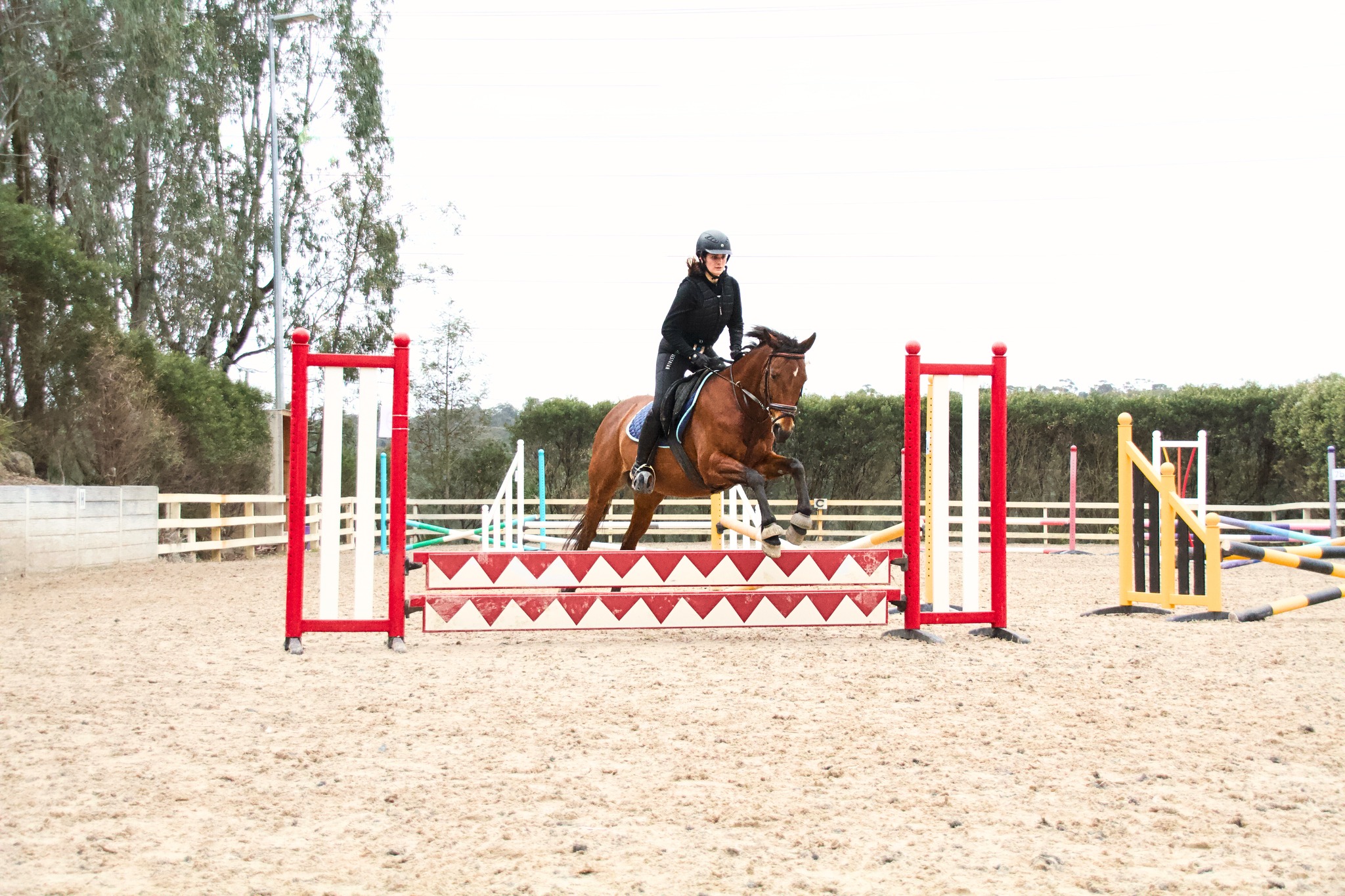 Kareena and Kiera showing us how its done at our last in-house combined training day ♥️
April school holidays are creeping up - what better way to spend it than in the saddle! Jump in for holiday programs, lessons, pony rides, parties and more!
7th-19th April (closed Good Friday-Easter Monday)
See you then!