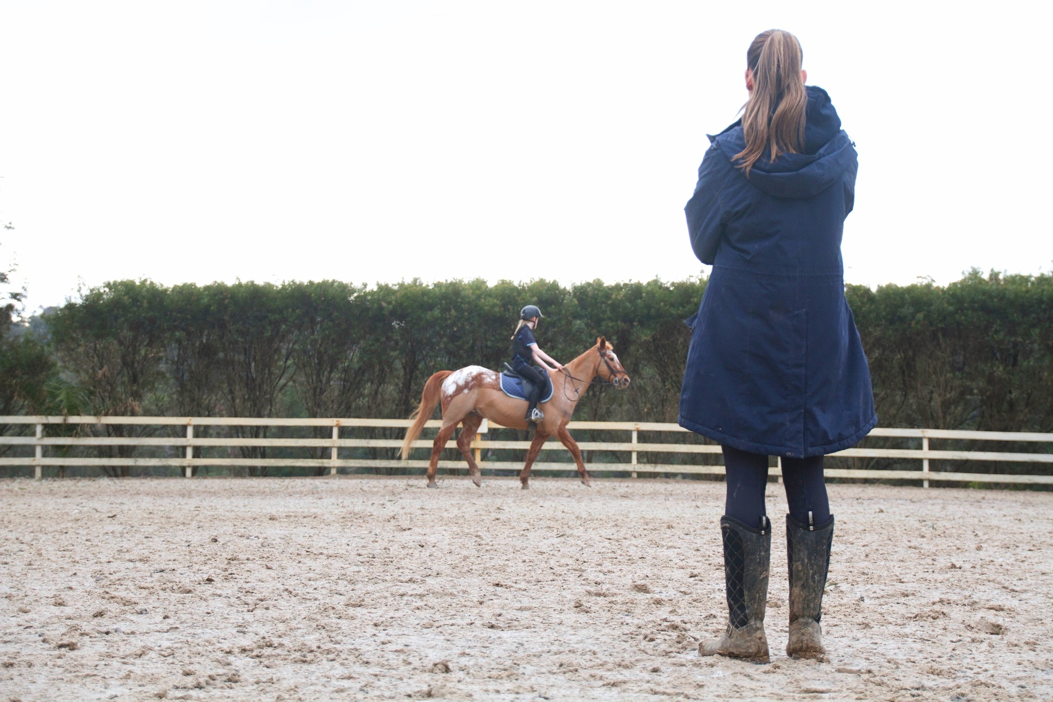 Community is the heart of everything we do 🤍
And our incredible team brings that to life every day.
Rain, shine, muddy boots and all - they show up every day with passion, patience, and so much love for what they do.
The people behind the scenes (and in the arena) who make Valley Park what it is. We are so lucky to have such a dedicated, kind, and hardworking crew.
And to our riders and families — we really appreciate you being part of Valley Park