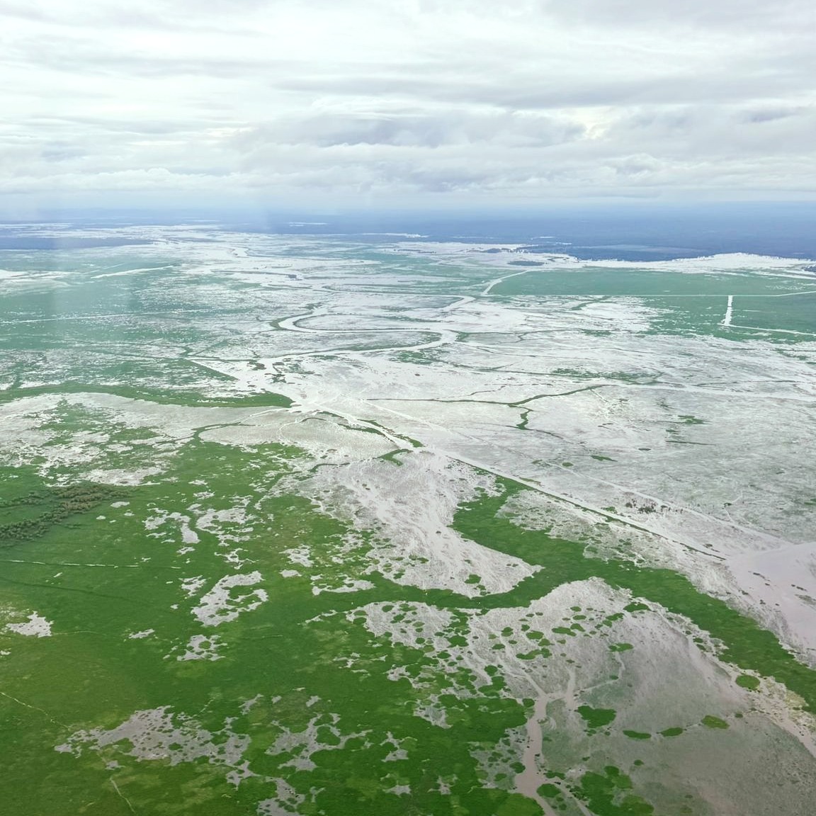 Kakadu is looking beautiful at the moment. All the recent rain has the waterfalls flowing and the whole park feels alive. 🌿✈️
Locals can enjoy 10% off our scenic flights until 12 April. Just use code LOCAL10 when booking.
Give us a call on 1800 089 113 to book your Kakadu adventure.
@seekakadu