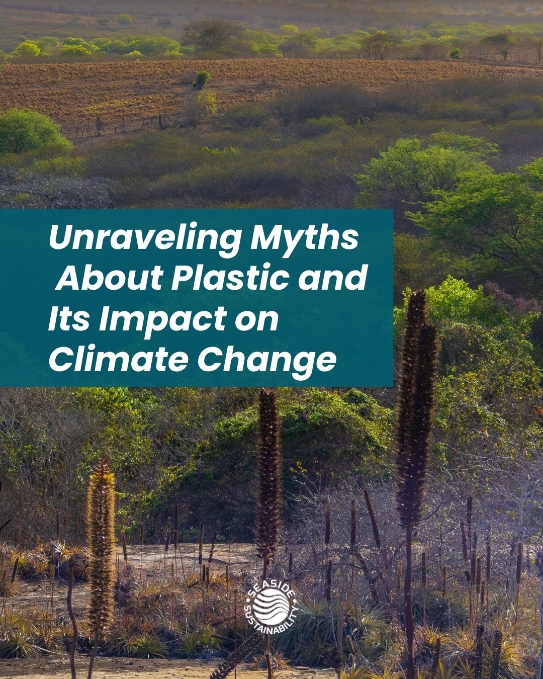 People often misunderstand the true impact of plastic pollution on climate change due to prevailing myths. Let’s clear the air on some of the biggest misconceptions.
To effectively combat these myths, we need to take a proactive stance and stay informed about the world and how we can prevent harming it. 🌎
#SeasideSustainability #ClimateChange #PlasticPollution #PollutionMyths