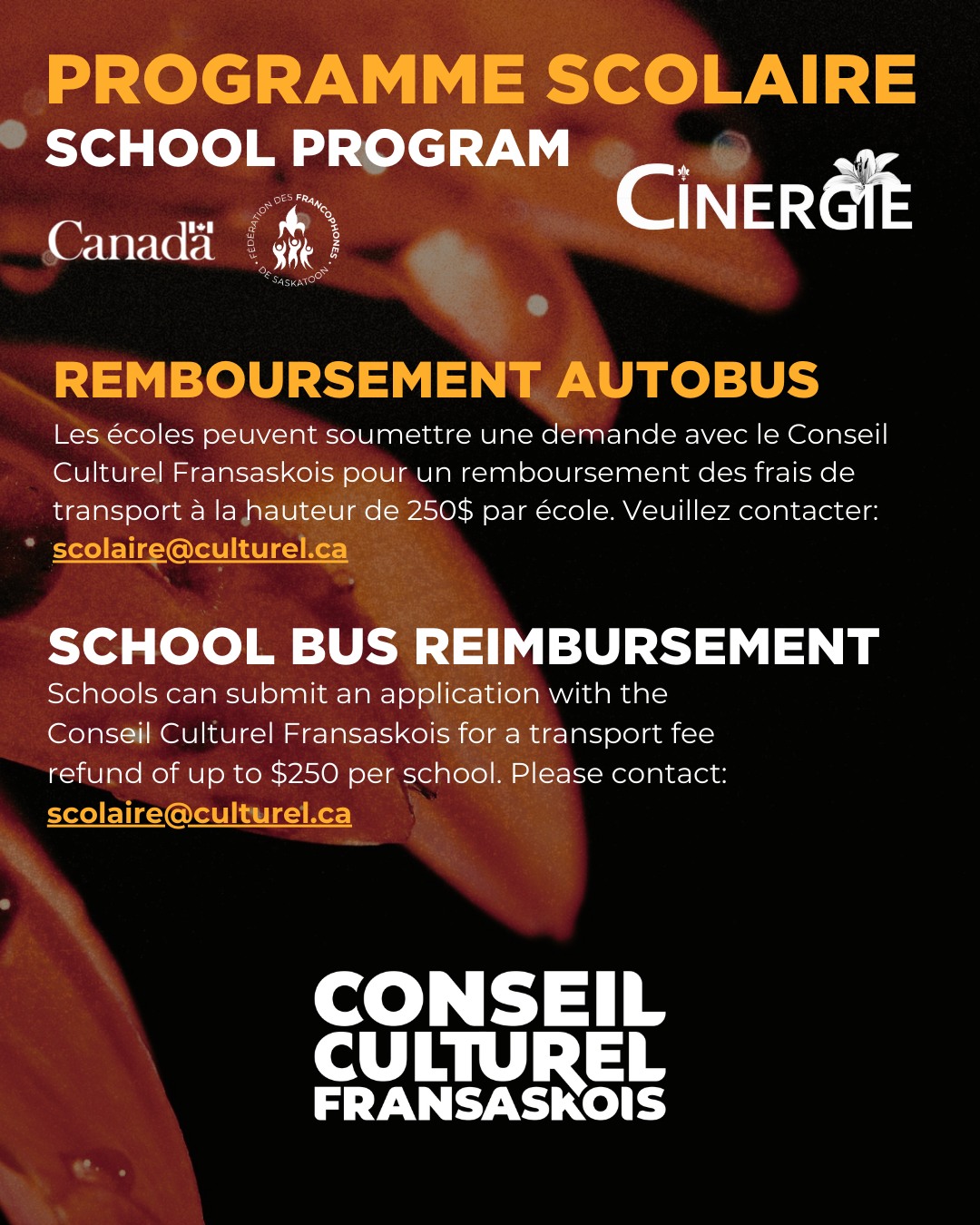 🚍 REMBOURSEMENT AUTOBUS:
Les écoles peuvent soumettre une demande avec le Conseil Culturel Fransaskois pour un remboursement des frais de transport à la hauteur de 250$ par école.
📩 Veuillez contacter: scolaire@culturel.ca
📧 Pour toutes autres questions, contactez nous à scolaires@cinergiesk.ca
📣 CINERGIE propose aux écoles francophones et d’immersion françaises de Saskatoon des films scolaires au cinéma Roxy Theatre du 14 au 16 avril 2026. ️
➡️ Inscrivez vos classes à partir de notre page scolaire sur notre site web: https://www.festivalcinergie.ca/fr/programmation-scolaire. ️
⏳️ Date limite d'inscriptions: 3 avril 2026
SaskTel @ajfsask @francosaskatoon