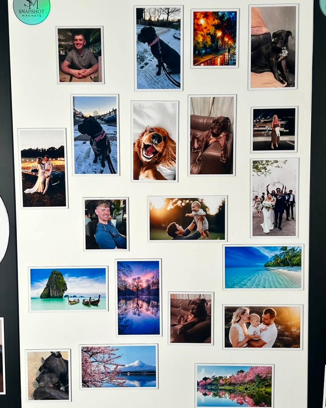 “You’re sitting on hundreds of photos you’ll never look at again…”
So why not turn them into something you actually see every day?
From your dog 🐶 to your favourite holiday 🌴
these magnets bring your best memories to life.
Start your own collection 👇
#photomagnets #personalisedgifts #smallbusinessuk #giftideasuk #customgifts
