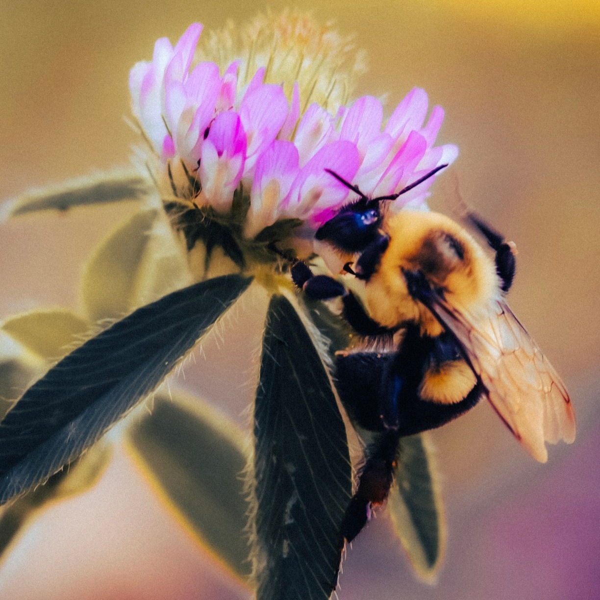 Hello, sunshine ☀️🌿
Spring has officially arrived in Tennessee’s South Cumberland, and everything is starting to bloom. Waterfalls are flowing, trails are calling, and those crisp mountain mornings just hit different this time of year.
Whether you’re planning a weekend getaway or just need a little fresh air, this is your sign to come explore, unwind, and soak in the beauty of spring with us.
Your next adventure starts here 💚 https://www.mountainsofadventure.com
.
.
#FirstDayOfSpring #SouthCumberland #TennesseeTravel #ExploreTennessee #SpringInTennessee #MountainViews #WaterfallChasing #PlanYourTrip #VisitTennessee