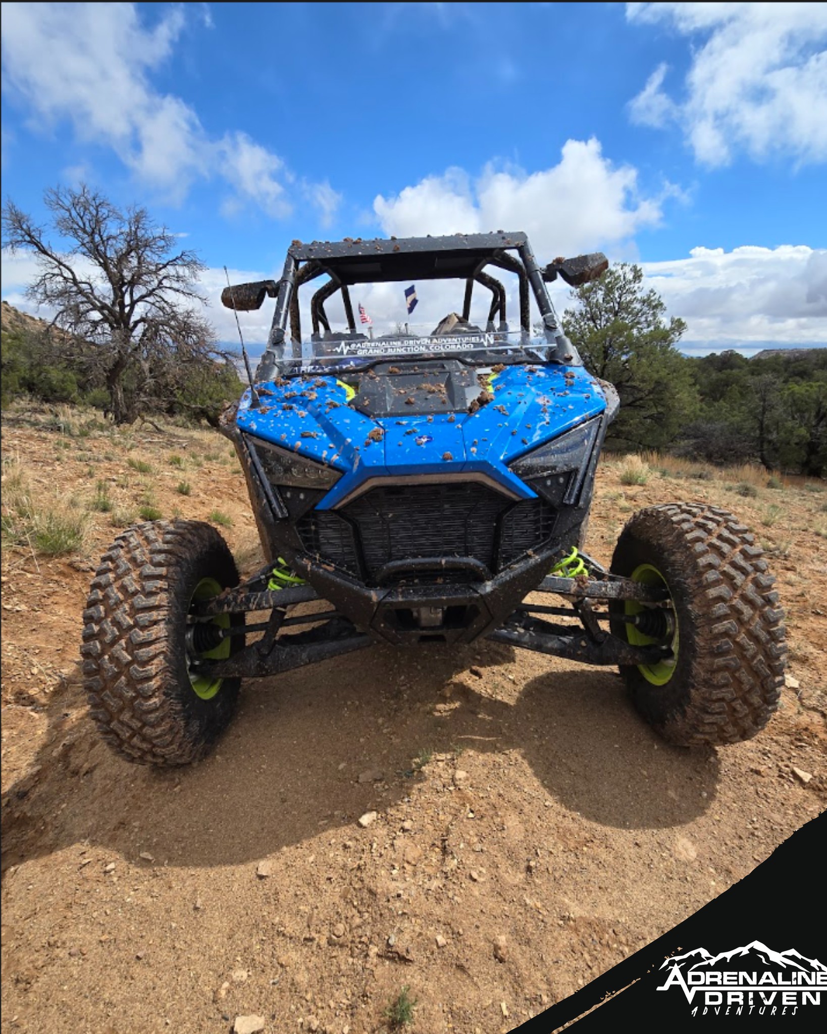 Ready to Feel the Rush?
Adventure is calling! 🌄 Rent one of our powerful UTVs and explore Colorado like never before. Whether you’re chasing epic views or just craving a thrilling ride — we’ve got you covered! 💨
📍 Adrenaline Driven Adventure Company
📅 Book your ride today and experience the adventure of a lifetime!
👉 Book Now! Let’s Ride! 🏜️
#AdrenalineDriven #UTVRentals #ColoradoAdventure #RideTheTrails #OffRoadFun #AdventureAwaits #FeelTheRush #BookNow #ExploreColorado