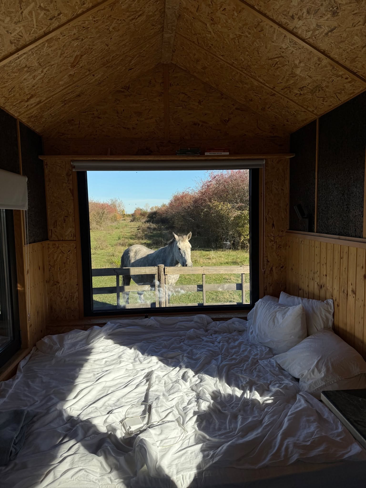 Srećno najlepše godišnje doba. 🌞
Znaš ono kada vazduh miriše drugačije, kada sunce ostaje duže i kada te nešto vuče napolje?
U Zasavici, to se oseti još jače. Pored jezerceta, među zelenilom koje cveta, i uz konje i magarice koji te posmatraju kao da si oduvek tu.
Ovde se ne dolazi samo da bi se odmorilo.
Ovde se dolazi da se podsetiš kako treba da se osećaš.
Dobrodošli u Buzzoffski Cabins. 🌸
Rezervišite putem www.buzzoffski.com ☘
Čekamo te!