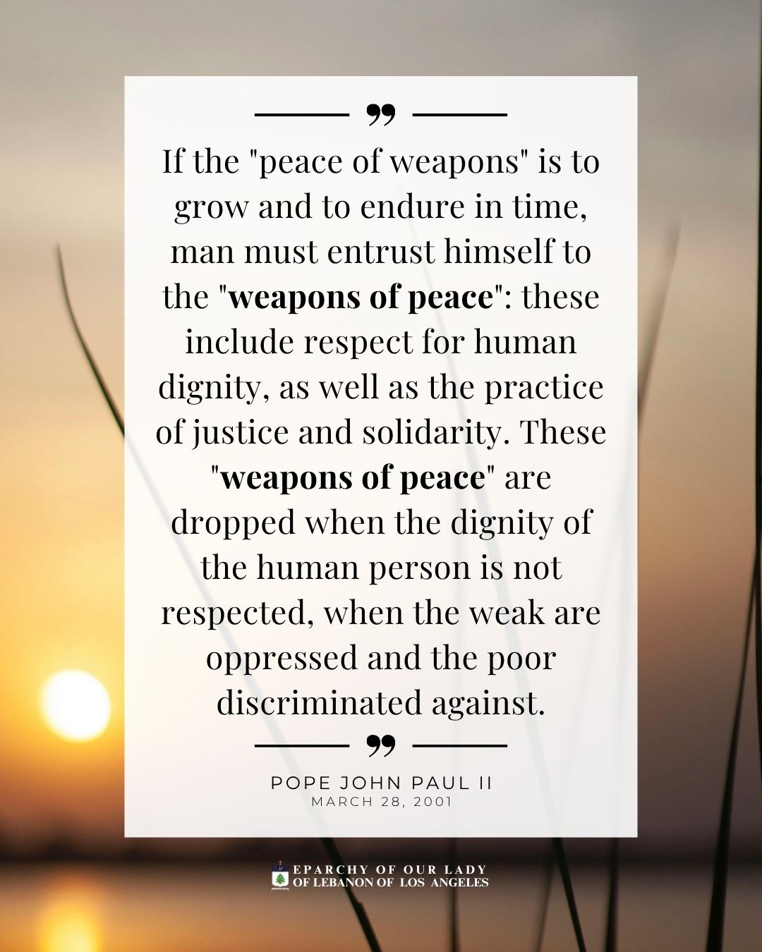 If the "peace of weapons" is to grow and to endure in time, man must entrust himself to the "weapons of peace": these include respect for human dignity, as well as the practice of justice and solidarity. These "weapons of peace" are dropped when the dignity of the human person is not respected, when the weak are oppressed and the poor discriminated against.
Pope John Paul II
March 28, 2001