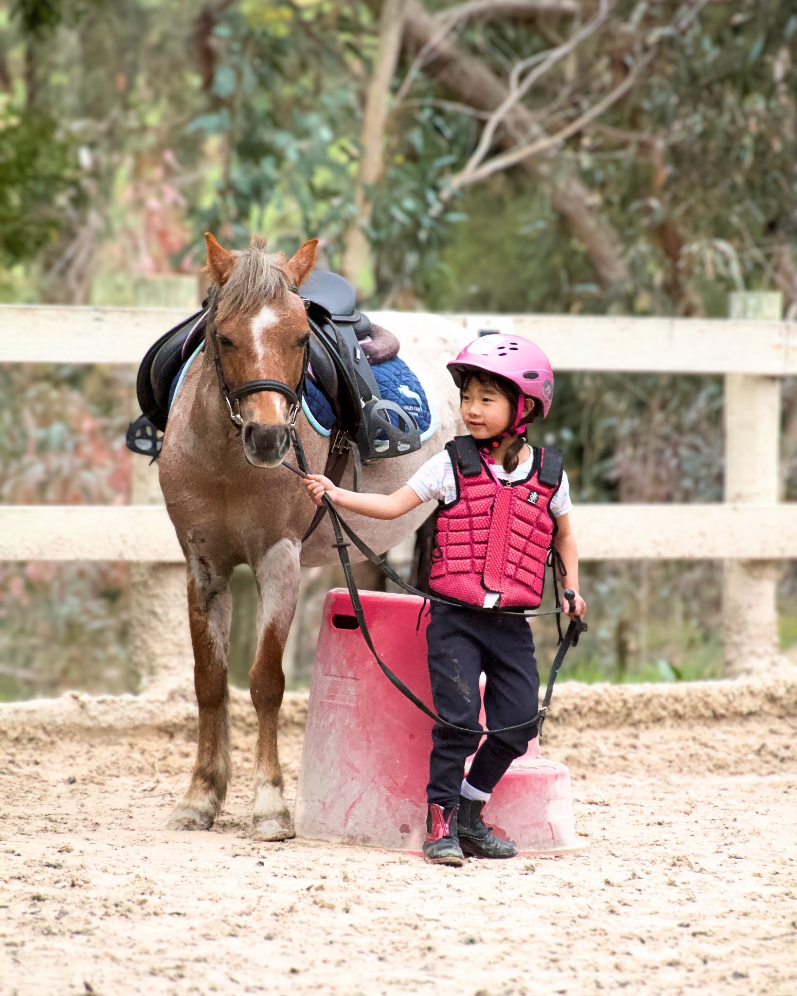 These moments don't happen by accident. They happen at Valley Park 🐴
Our school holiday program is back and we've made it more accessible for families these holidays. Full day program at $180 per rider (was $220).
Spots are filling fast. Book now via
email → info@valleyparkriding.com.au
call → 0475000088