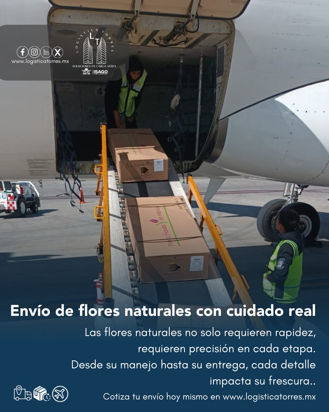 🌸✈️ Envío de flores naturales con cuidado real
Las flores naturales no solo requieren rapidez, requieren precisión en cada etapa.
Desde su manejo hasta su entrega, cada detalle impacta su frescura.
En Logística Torres gestionamos el envío aéreo de flores con procesos diseñados para conservar su calidad, reducir tiempos y asegurar su llegada en óptimas condiciones.
Porque cuando se trata de flores, no solo importa que lleguen…
importa cómo llegan.
📲 Contáctanos y asegura tus envíos florales.
🌸 Frescura que se entrega como debe ser.
.
.
.
.
#EnvíoDeFlores #FloresNaturales #CargaPerecedera #LogísticaAérea #TransporteAéreo #FrescuraGarantizada #LogísticaProfesional #tucargasegura #tucargasegurayatiempo #logistica #volariscargo #logisticaytransporte #SomosLogisticaTorres #enviosnacionales