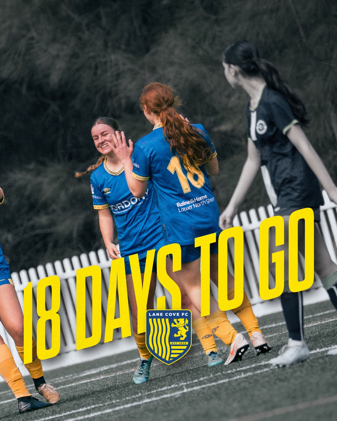 18 DAYS TO GO!!!
LANE COVE FC'S 2026 SEASON KICKS OFF SOON!
🔵🟡⚽️💪🟡🔵
#AnyOneCanPlay #LaneCoveFC
#LaneCove #inthecove #NSFA #footballnsw #footballaustralia #football #soccer #footballislife #footballculture #footballlife #90years #miniroos #juniorsfootball
@inthecove
photography by @snapshootscore