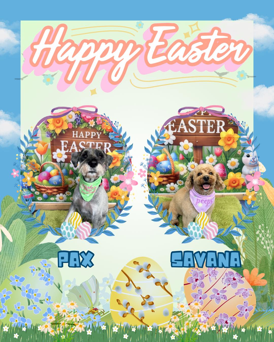 Pax & Savana
.
.
.
#worcesterparksurrey #surbitonandsurroundingareas #surbiton #nonsuchpark #surbitonsmallbusiness #newmalden #surrey #worcesterpark #dogsofsurrey #newmaldendogs #tolworthdogs #raynespark #tolworth #esher #epsom #surbitondogs #nonsuchparkdogs #ewell #worcesterparksurreybusiness #chessington