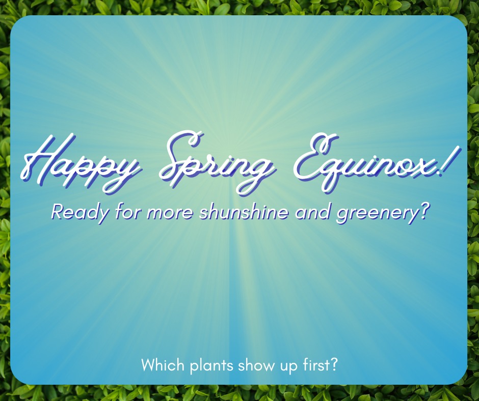 🌱Happy Spring Equinox! We will be steadily getting more sunlight starting today!
With the extra sunshine, we will start seeing spring plants popping up! Green plants and sunshine? Sounds great! 🌞
While many invasive species start growing earlier than native species, here are some native ones that like to make their appearance early! Keep an eye out for these cool plants!
#spring #springephemerals #wildflowers #nativespecies #sunshine