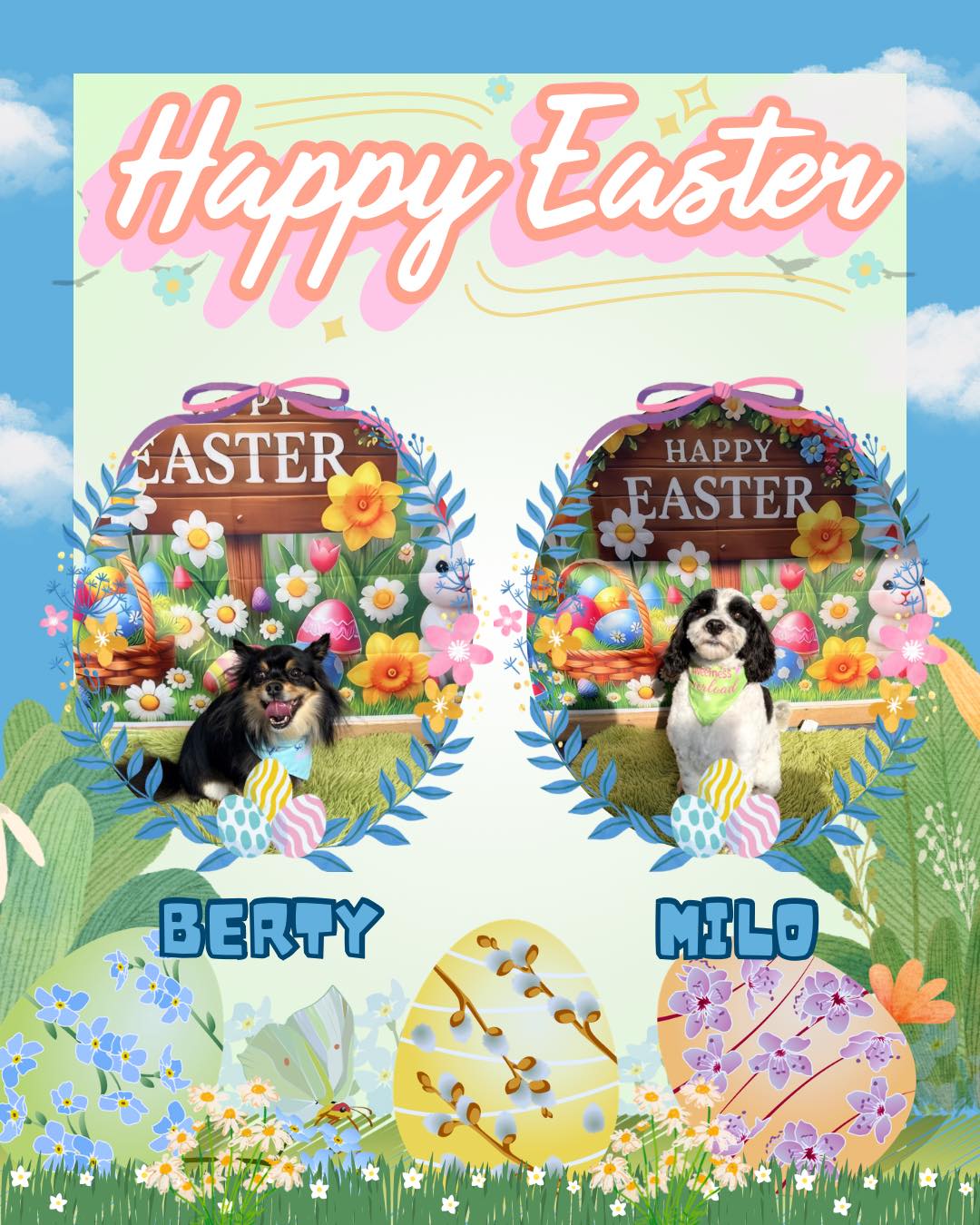 Berty & Milo
.
.
.
#worcesterparksurrey #surbitonandsurroundingareas #surbiton #nonsuchpark #surbitonsmallbusiness #newmalden #surrey #worcesterpark #dogsofsurrey #newmaldendogs #tolworthdogs #raynespark #tolworth #esher #epsom #surbitondogs #nonsuchparkdogs #ewell #worcesterparksurreybusiness #chessington