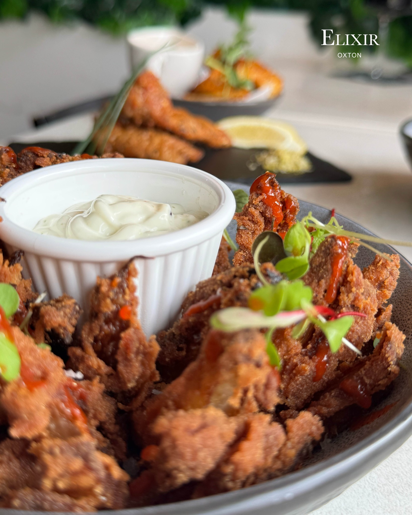 New Menu Item: 𝘽𝙡𝙤𝙤𝙢𝙞𝙣𝙜 𝙊𝙣𝙞𝙤𝙣 🧅🌺
A whole onion breaded and fried until crisp and golden, with garlic Aioli 🥬
#Wirral #WirralRestaurant #Restaurant #oxton #ElixirRestaurant #OxtonVillage #drinks #wirral #Elixir #ElixirWirral #tapas #Food #newmenu