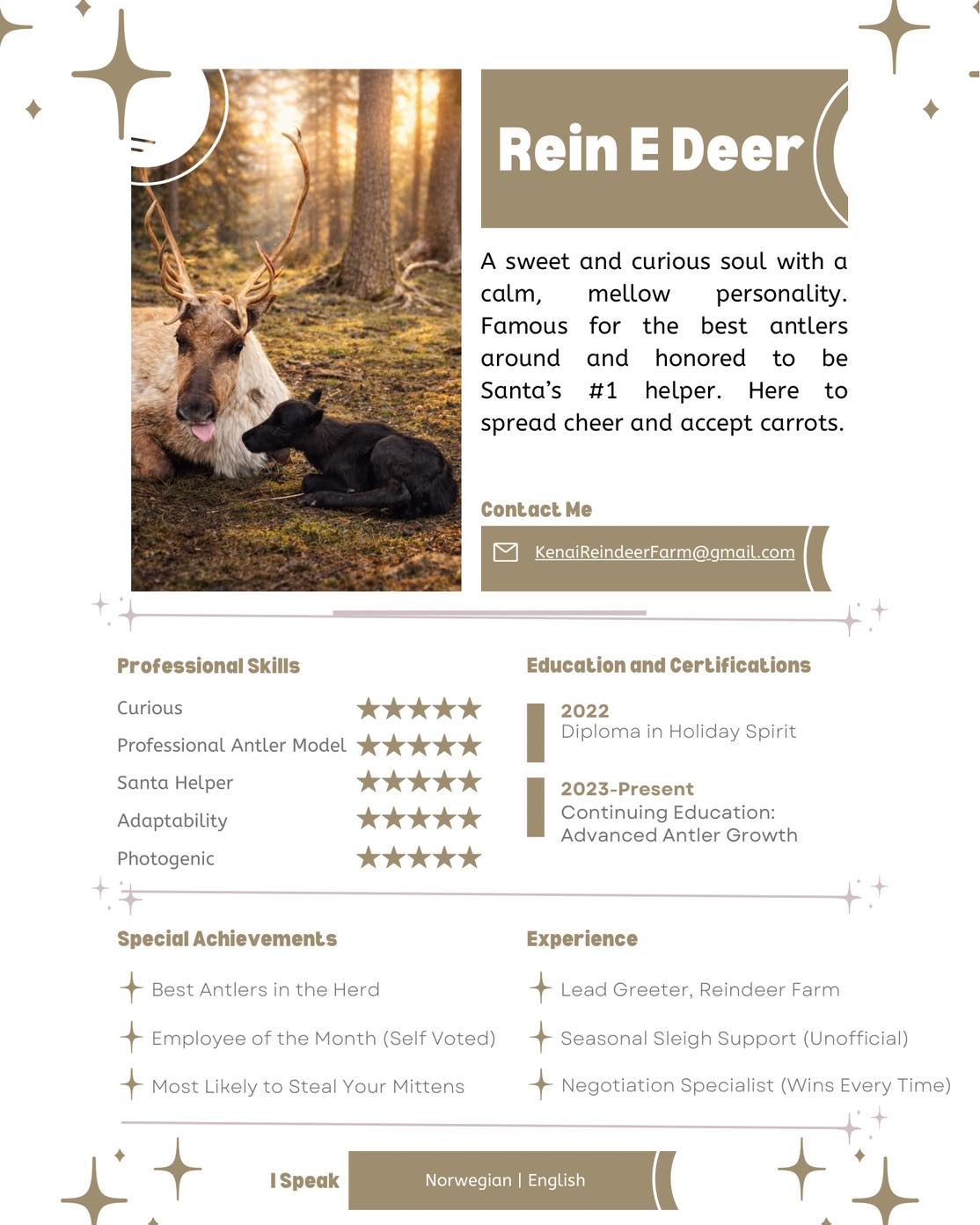 Meet Rein! She’s pregnant with her second baby, and is our youngest mama of the season. #Alaska #meet #expecting #reindeer #mama