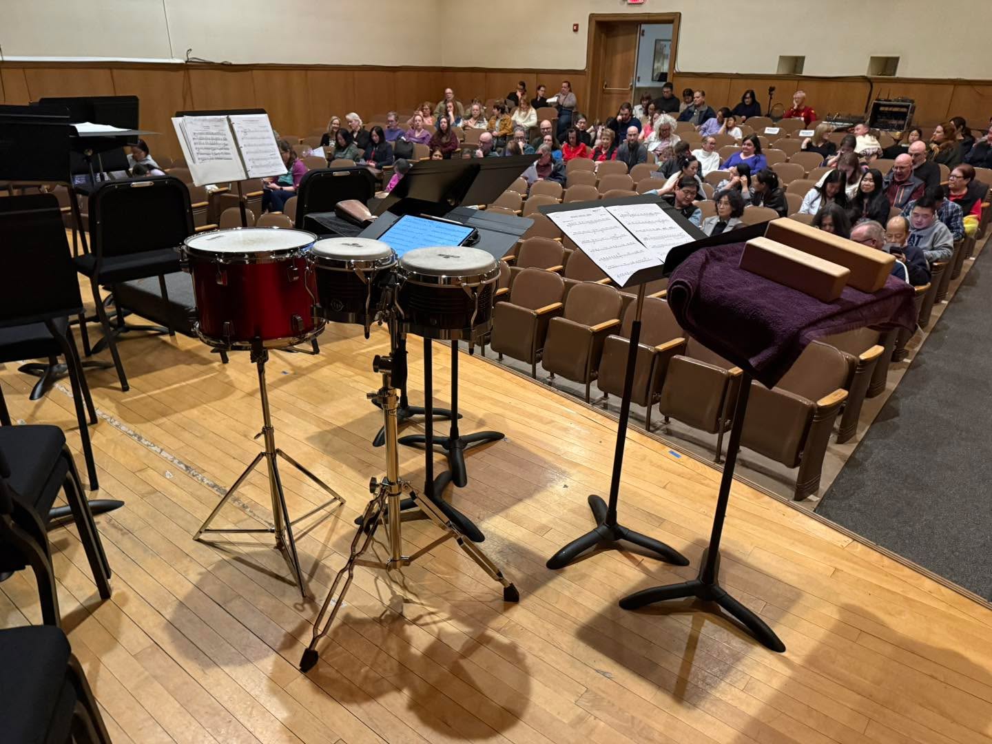 DYSO concert #2 for the 2025-2026 season complete! The percussion section presented Josh Gottry’s Wood, Metal, Skin as part of their percussion ensemble to start the concert. One more concert for this season before the combined orchestra’s will travel to NYC for their Carnegie Hall performance!