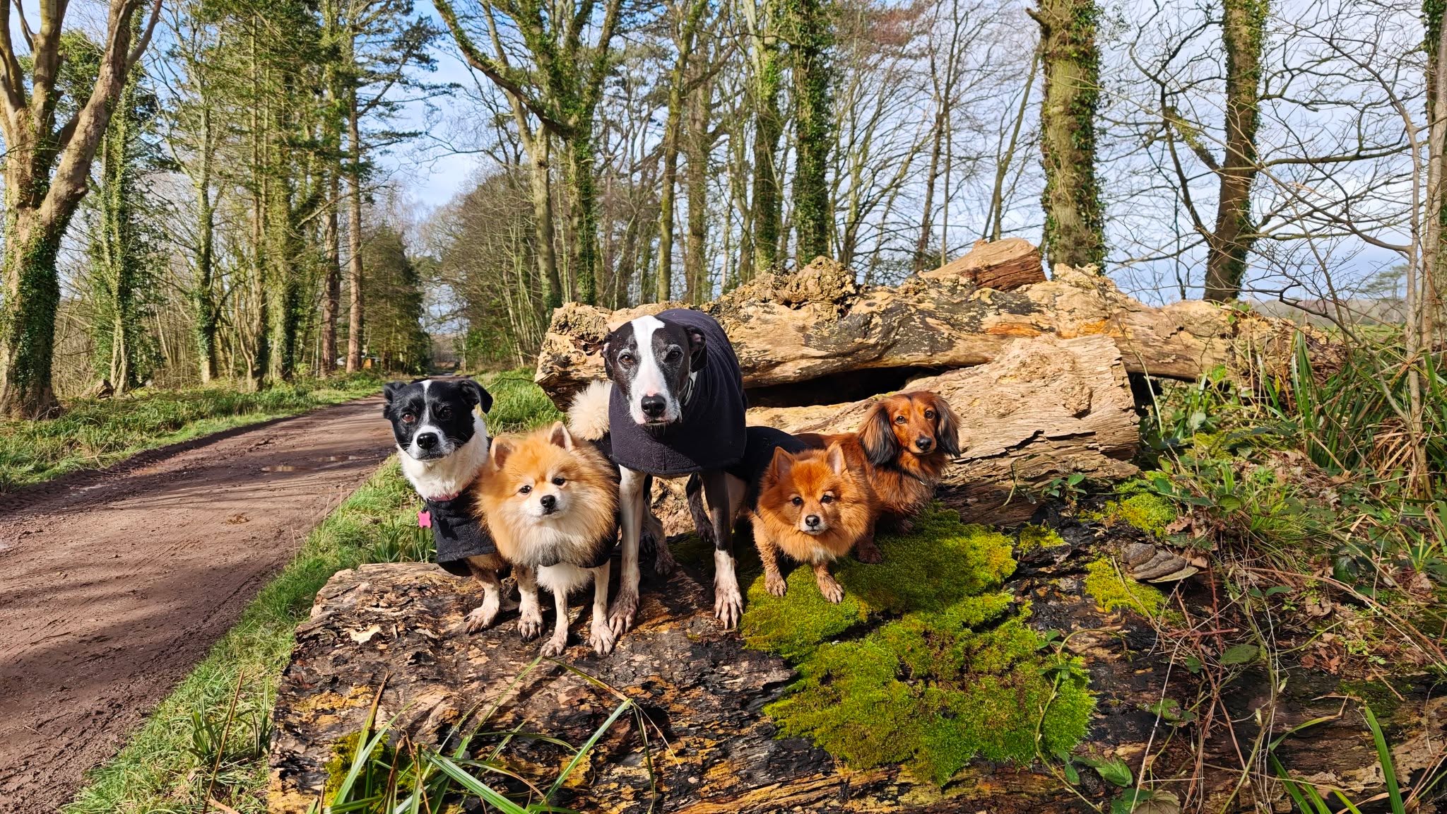 Soka, Kevin, Buzz, Woody and Ted 😍😍