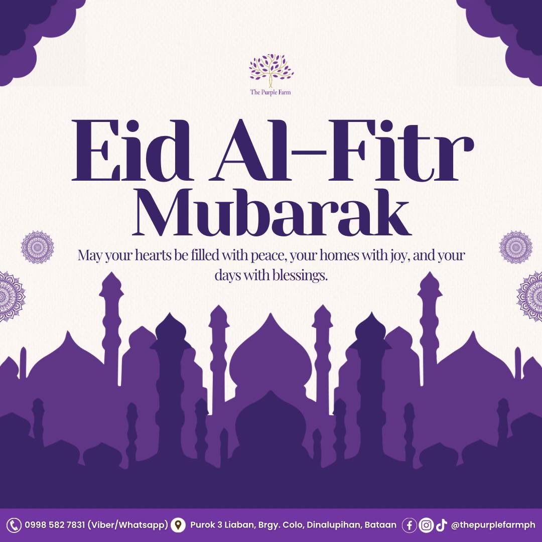 Eid Mubarak from The Purple Farm 💜🌙
As we celebrate Eid al-Fitr, may your homes be filled with love, laughter, and meaningful moments with family.
#EidMubarak #ThePurpleFarm #BlessedEid