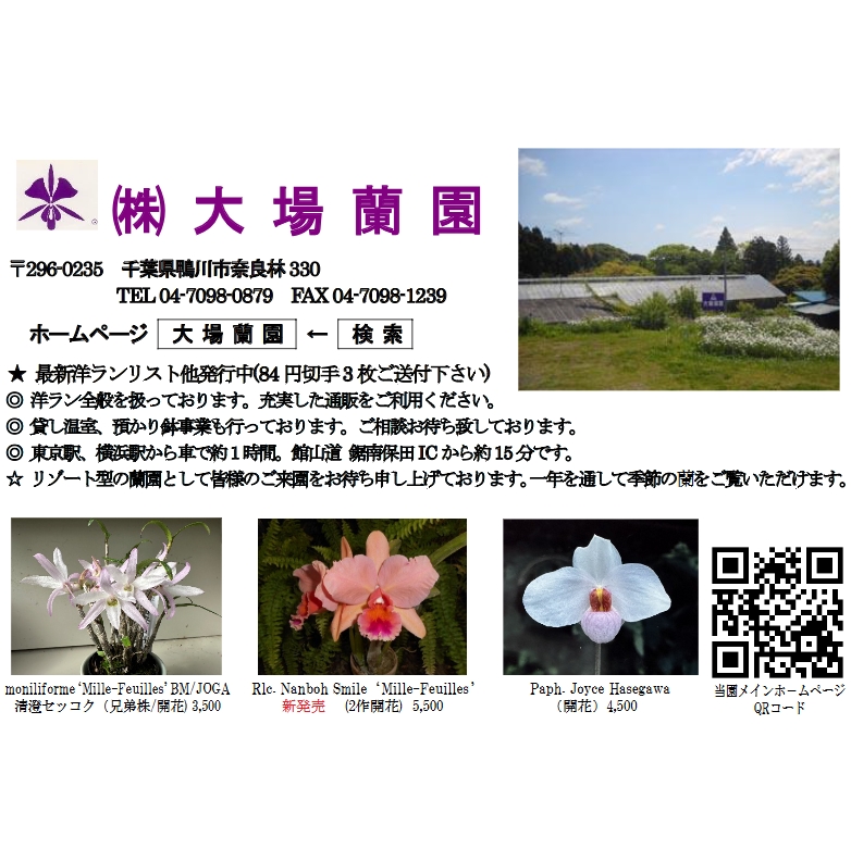 ***JOGAレビュー広告(Web版)*****
大場蘭園
#joga
#orchids
#らん
#蘭
#洋ラン
#joga加盟店
#ジョガ
***JOGAレビューに広告を掲載しませんか?***
#JOGAレビュー はJOGAが発行する洋ランの普及・宣伝が目的の #フリーペーパー です。全国の洋ラン愛好家に親しまれ、#ラン展、イベントでも配布されるほか、全国約130の愛好家団体へ配布されています。
★JOGAレビューの記事はずっと役立つ情報が盛りだくさん。ずっと手元に置いていただけます。
★JOGAレビューのバックナンバーはJOGAウェブページで公開しているのでいつでもお読みいただけます。(https://www.joga.or.jp/)
★広告サイズもお選びいただけます。ご興味のある方はぜひJOGAまでお問い合わせください。