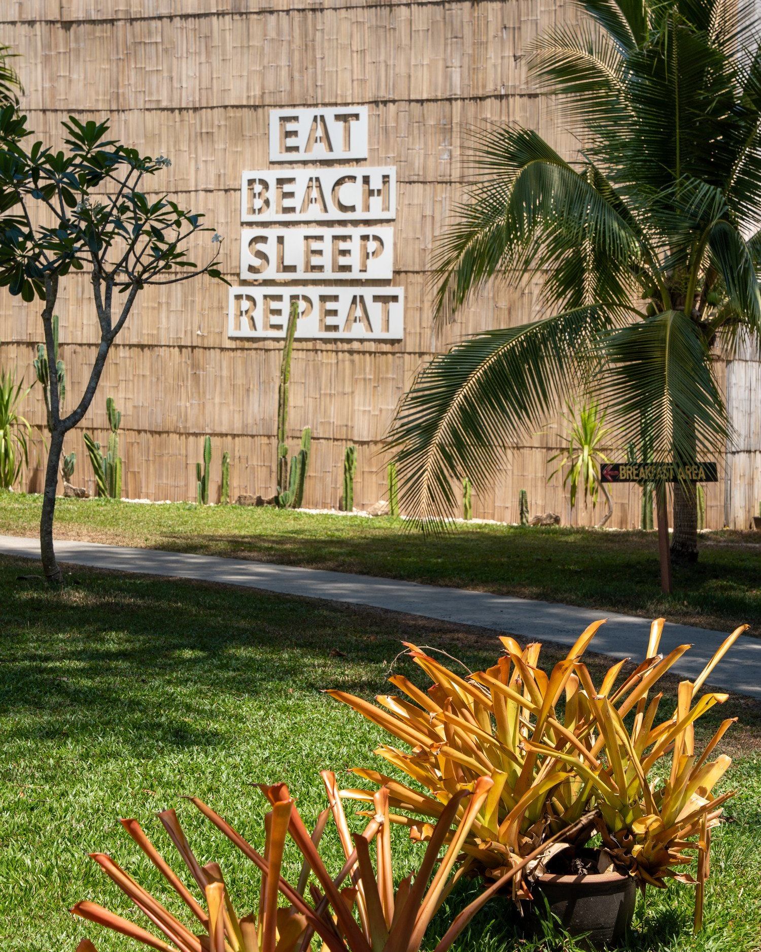 Eat. Beach. Sleep. Repeat... your kind of routine starts here🌴💙
Enjoy our best direct booking rates here! ➡️ link in bio
📞094 432 8889
📩info@longbeachchalet.net