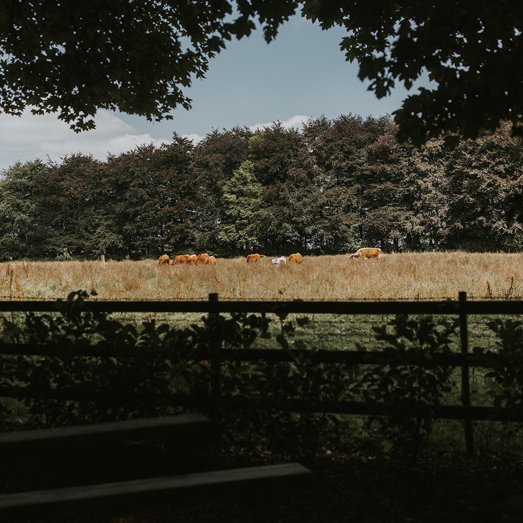 Sometimes the simplest corners are the most beautiful.
Natural wood, countryside surroundings and a setting designed to feel warm, relaxed and welcoming.
Crown Lodge was made for weddings that feel effortless. #cornersofmyworld
📷 @peter_reynolds_photography
#weddingvenue #weddingphotographer #countrysidelife #countrysidephotography #destinationwedding #crownlodgekent #moocows