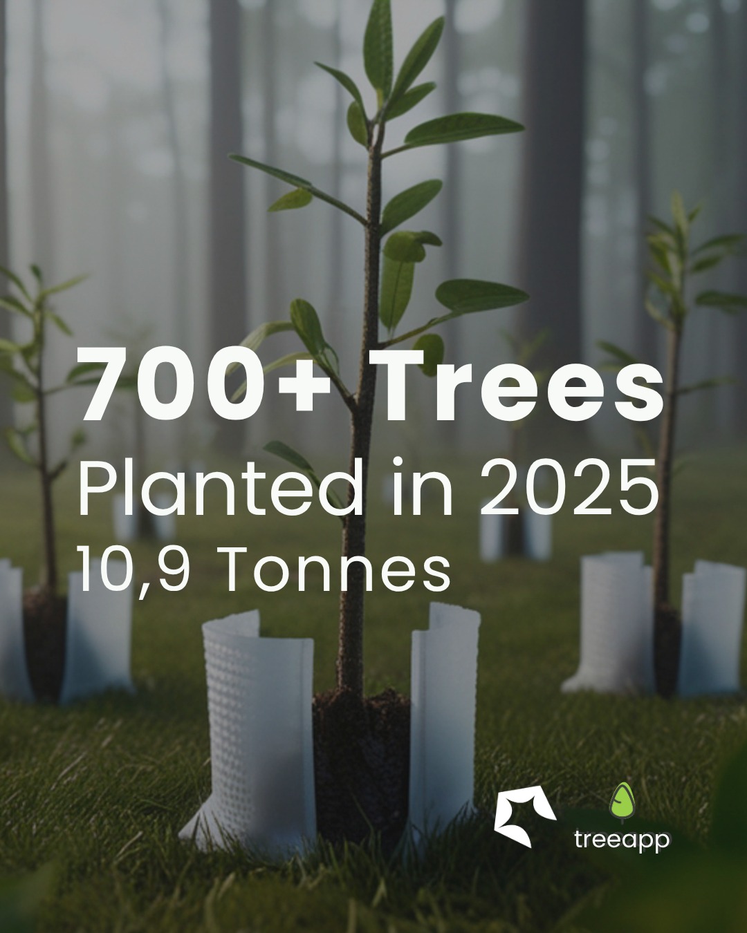 The events and production industry has a vital role to play in supporting global climate goals. At Scorpion Production Group, we’re proud to be one of the companies taking meaningful steps forward, not only for our clients, but for our planet.
Through our ongoing partnership with treeapp, we’re able to offset the environmental impact of both internal operations and client projects, contributing to global reforestation, carbon reduction and community employment.
If you're looking for a production partner who values creativity, technical excellence and environmental responsibility, we’d love to collaborate.
Let’s make your next event greener, smarter and more impactful. 🌍💡
#Sustainability #SustainableEvents #EventProduction #EnvironmentalImpact
#CarbonOffsetting #Treeapp #ScorpionProductionGroup
