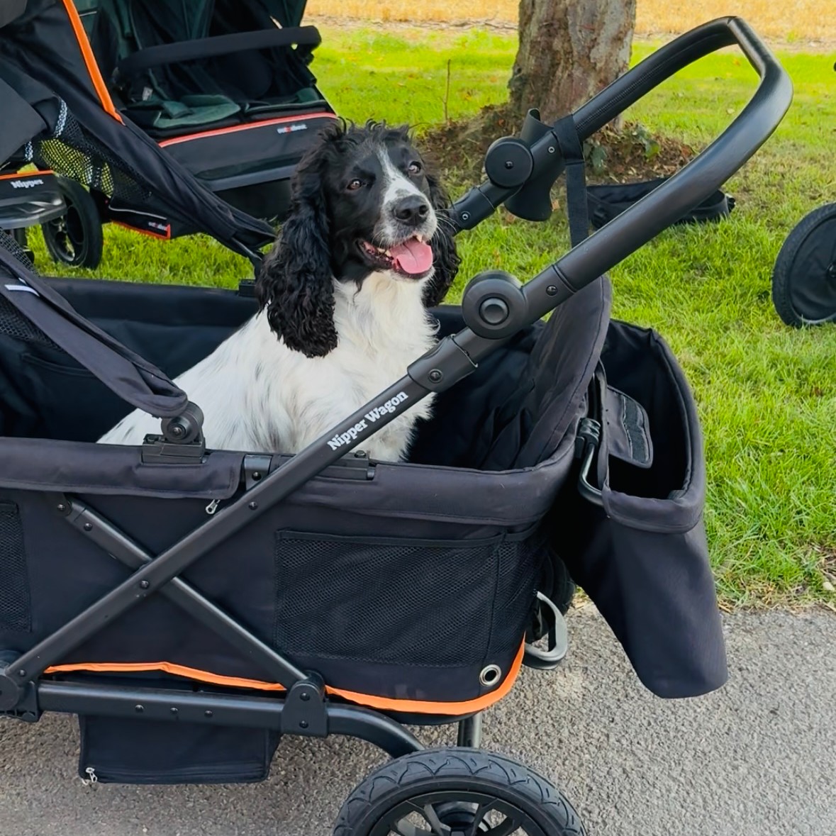 All aboard 🐾👶
The Out’n’About Nipper Wagon — made for muddy walks, countryside adventures, and bringing everyone along for the ride.
Kids, dogs, chaos… handled ✔️ @outnabout_official
#outnabout #nipperwagon #dogmumlife #AdventureReady #familylife