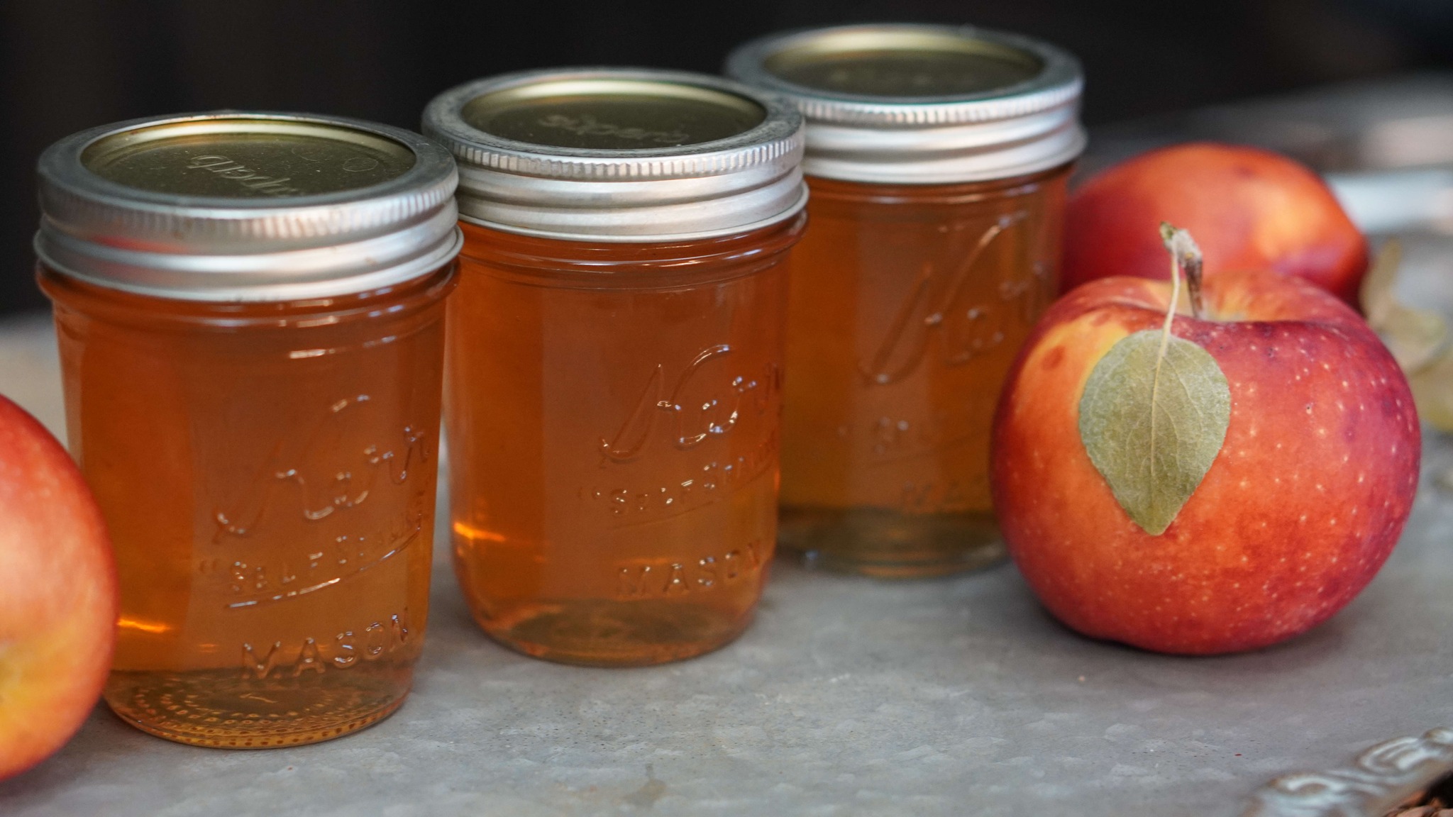 Apple Jelly Canning Recipe
Apple jelly is a basic, mild jelly that can be used on so many things. I have added it to marinades, fruit glazes and fruit fillings. I love just how easily this comes together.
Wisdom Preserved Website https://wisdompreserved.life/apple-jelly-canning-recipe
How Altitude Affects Canning Processing: https://youtu.be/oSr1QyV8hU8
Quality, American-made, Superb CANNING LIDS and JARS:
✅Here is your 20% off promo code: WP20
✅Superb Website https://shop.superbsealing.com/?ref=WP20
#superbcanning @superbcanning