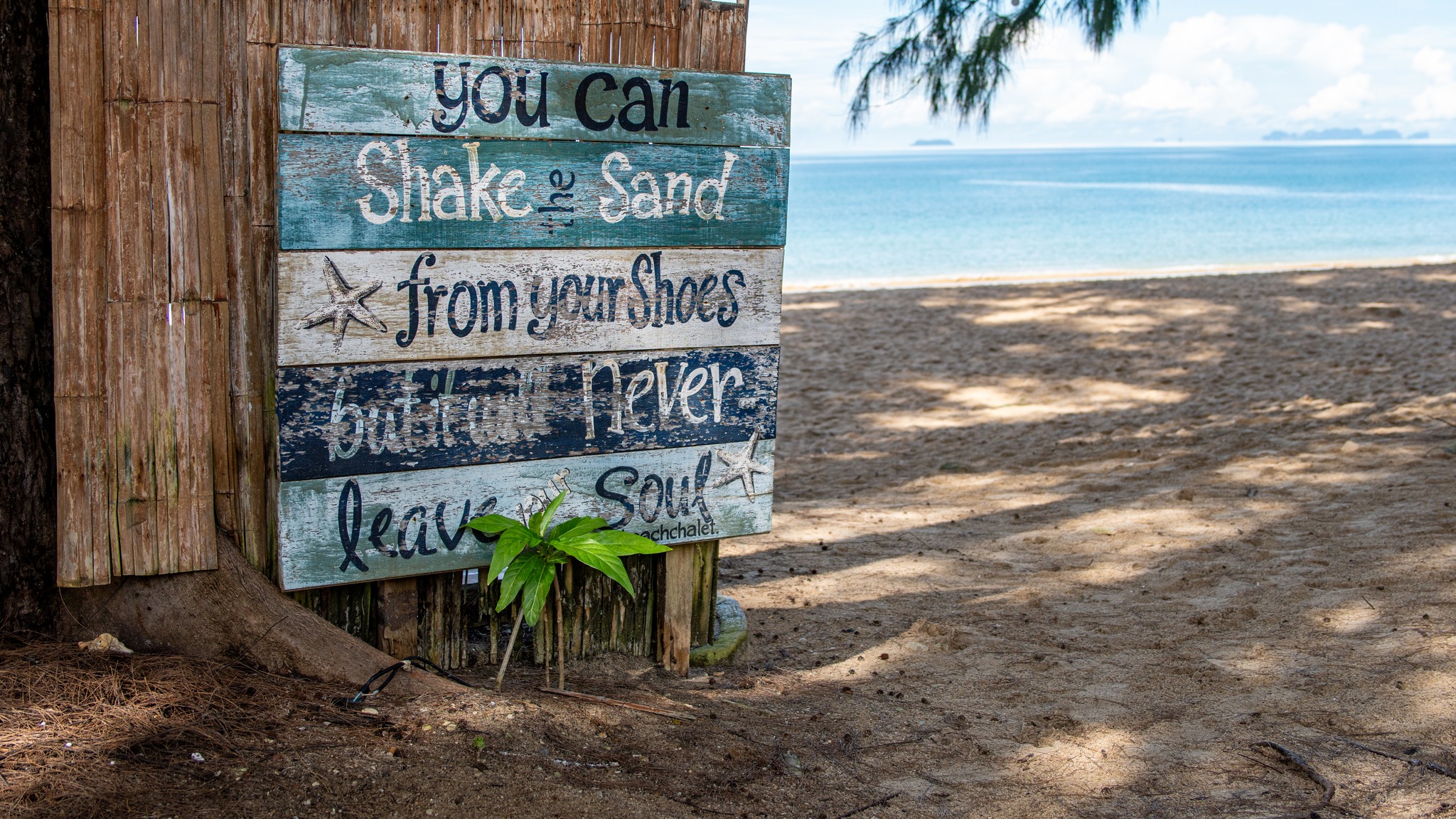 Beach days done right... simple and peaceful🌊☀️
Enjoy our best direct booking rates here! ➡️ link in bio
📞094 432 8889
📩info@longbeachchalet.net