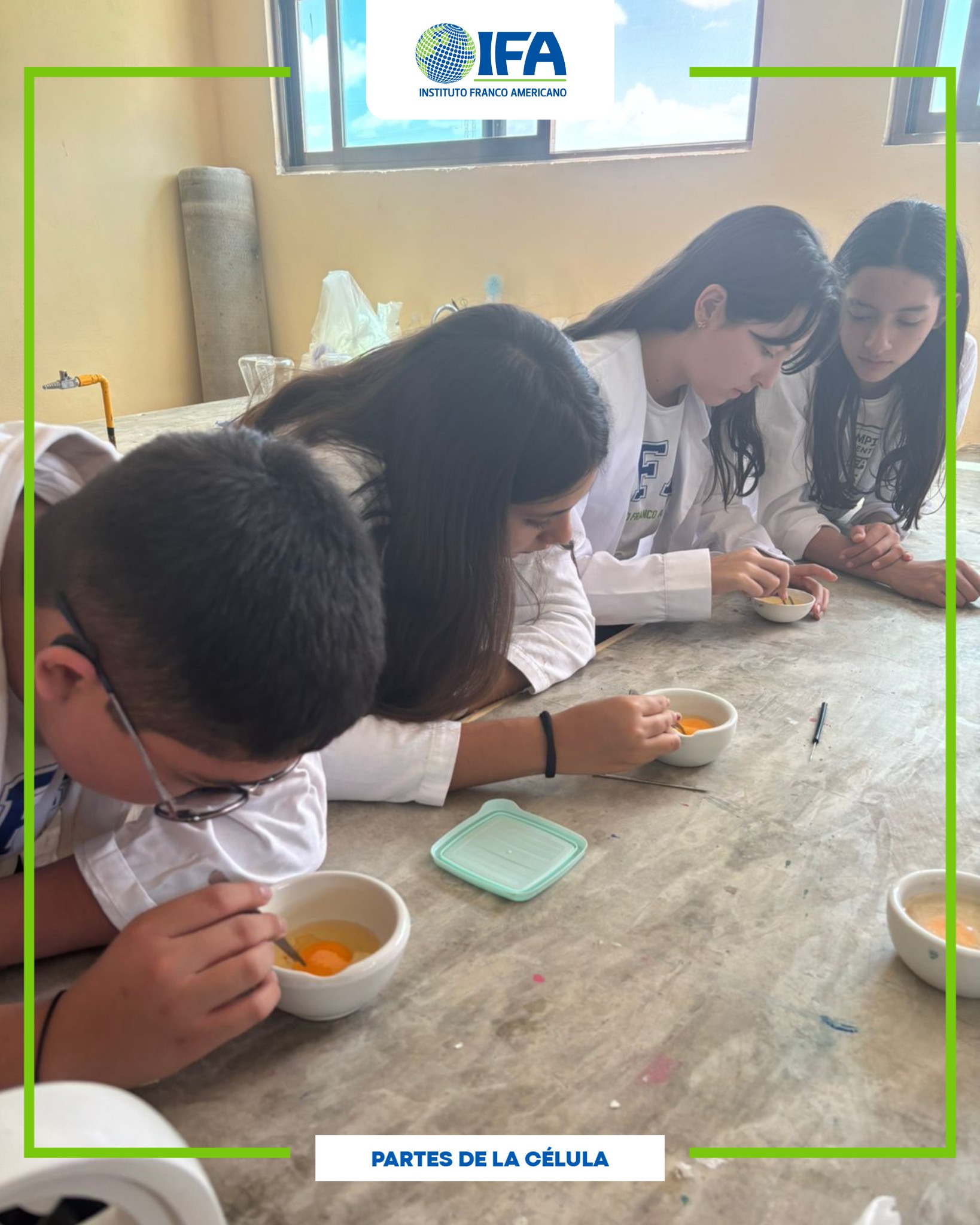 🔬✨Partes de la célula
En nuestra Práctica de Laboratorio: “Partes de la célula”, los alumnos exploraron la estructura celular de manera práctica 🧫
Utilizando un huevo como modelo, identificaron y analizaron las propiedades de la membrana plasmática, el núcleo y el nucleolo en células eucariotas 🥚🔍
Una experiencia que permite comprender la ciencia de forma vivencial, despertando el interés por el mundo que nos rodea 💡
#IFA #IFACancun #CienciaIFA #Célula #LaboratorioEscolar #AprendizajeActivo #STEMEducation #EducaciónConCiencia #ComunidadIFA 🔬✨
