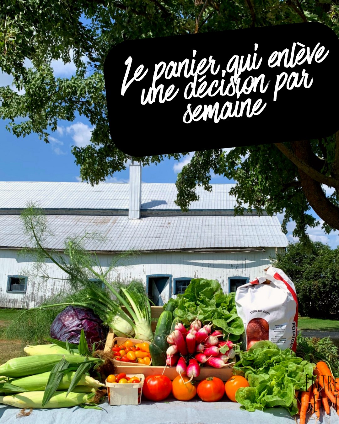 Moins de décisions.
Moins de compromis.
Juste du vrai, dans ton assiette. 🌿
www.fermeentrecieletterre.com
