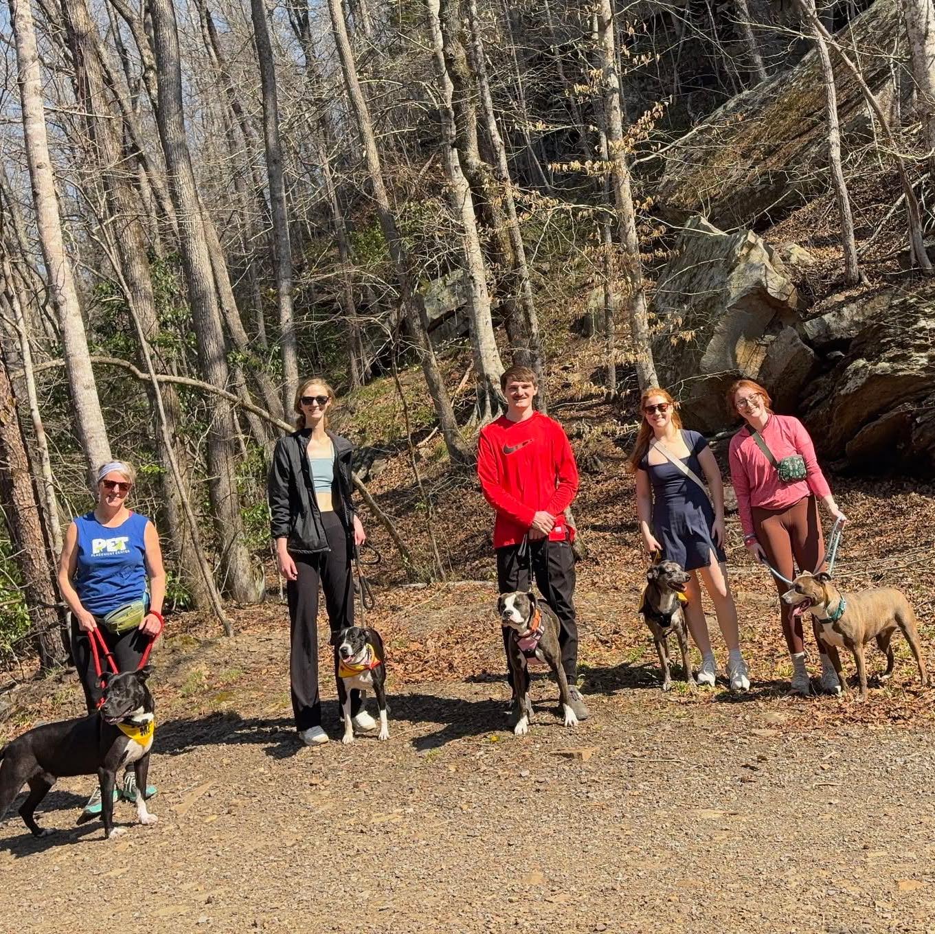 Friday was a perfect day for our second group dog hike! These outings help us to get more information on every dog which is so important when finding them the perfect home. It also allows them to just enjoy their time with us while they wait for that home. If you want to join an amazing group of volunteers while also helping our shelter dogs, please sign up! Next group hike is Friday, March 27th at 10 am. #doghike #walkashelterdog #volunteersareawesome