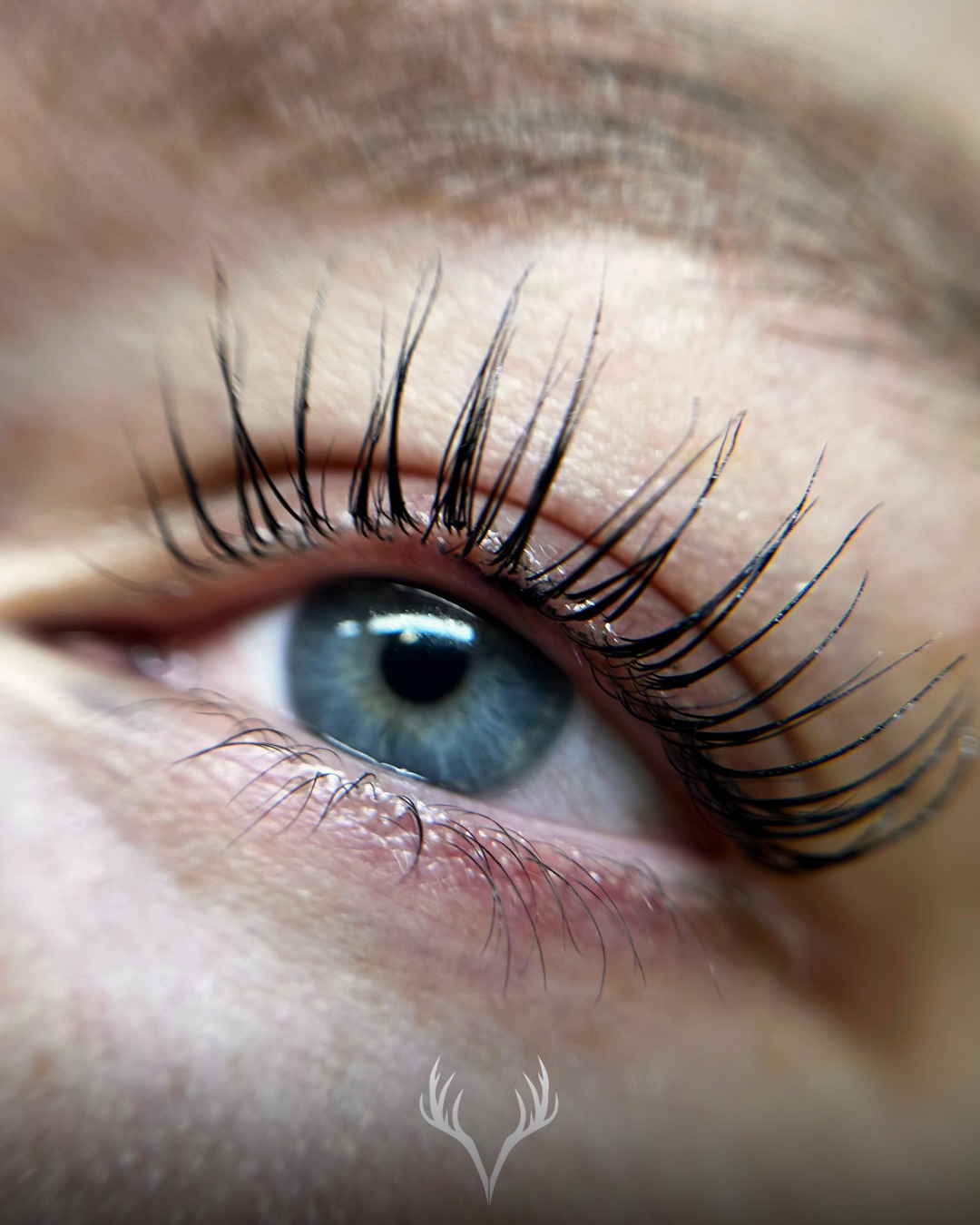 Lashlifting bei richtig langen Naturwimpern? Traumhaft – aber nur, wenn es technisch korrekt gemacht wird ✨
Denn: Je länger die Wimper, desto mehr Know-how braucht es, um ein schönes und gleichmäßiges Ergebnis zu erzielen 👁️
Was wir bei langen Wimpern besonders beachten:
– die richtige Größe der Silikonpads (zu klein = zu starker Knick statt schöner Schwung)
– die exakte Platzierung jeder einzelnen Wimper (sonst entsteht ein unruhiges Ergebnis)
– eine angepasste Einwirkzeit (lange Wimpern reagieren oft schneller)
– ein natürlicher Lift statt Überbiegung – wir wollen Eleganz, keinen „90° Knick“
💡 Unser Ziel:
Ein weicher, gleichmäßiger Schwung, der deine Länge perfekt betont – ohne künstlich auszusehen.
Was du als Kundin beachten solltest:
– bitte komplett ungeschminkt zum Termin kommen (kein Mascara, kein Concealer etc.)
– keine ölhaltigen Produkte vor dem Termin verwenden
– nach dem Lifting die Pflegehinweise einhalten, damit das Ergebnis optimal hält
✨ Gerade bei langen Wimpern kann ein professionell durchgeführtes Lashlifting einen enormen Unterschied machen – von „einfach lang“ zu wow, was für ein Blick!
Und wie immer bei uns:
Augenbrauen färben & zupfen sind inklusive, damit du mit einem perfekten Gesamtbild nach Hause gehst 🤍
📞 Termine telefonisch oder direkt über unser Online-Buchungstool
#lashlifting #wimpernlifting #langewimpern #lashes #naturallook #beautytipps #wimpern #browstyling #beautybaden #badenbeiwien #kosmetikstudio #beautybarbaden #lashandbrow #glowup #pflegeleicht #nomakeupneeded