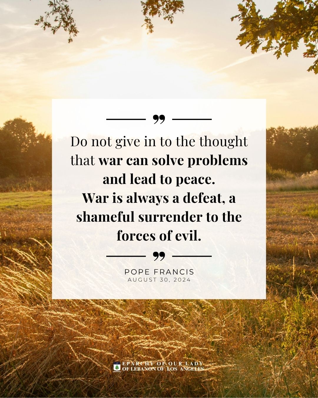 Do not give in to the thought that war can solve problems and lead to peace.
War is always a defeat, a shameful surrender to the forces of evil.
Pope Francis
August 30, 2024