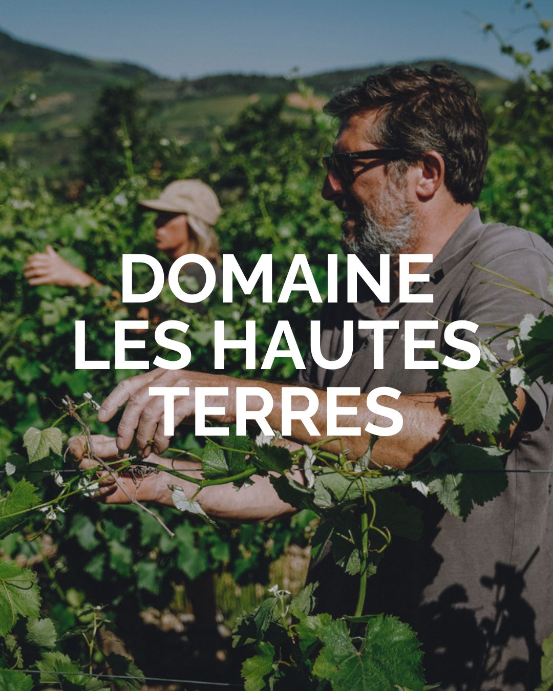 Este mes de marzo incorporamos a nuestro catálogo @les_hautesterres 🍾
Desliza para conocer más sobre la bodega: suelos, denominación de origen y el trabajo en vendimia que define el estilo de sus espumosos.
Dos nuevas referencias ya disponibles: L’Air du Paradis y Le Jardin des Délices.
👉 Descúbrelos y cómpralos online
📷 @les_hautesterres