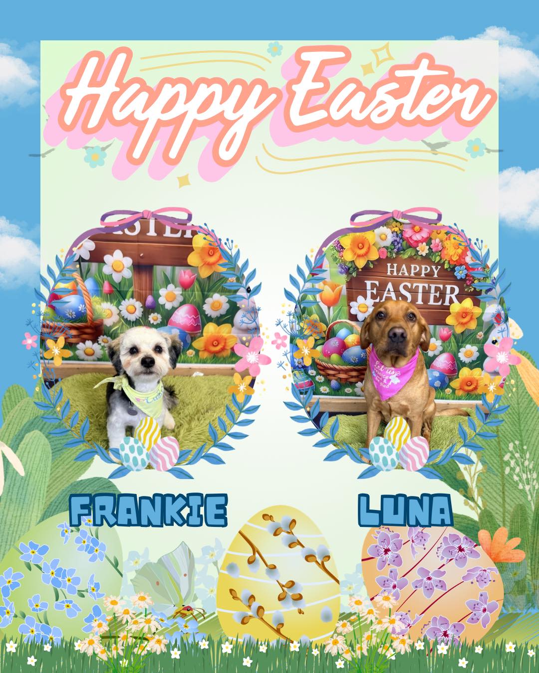 Frankie & Luna
.
.
.
#worcesterparksurrey #surbitonandsurroundingareas #surbiton #nonsuchpark #surbitonsmallbusiness #newmalden #surrey #worcesterpark #dogsofsurrey #newmaldendogs #tolworthdogs #raynespark #tolworth #esher #epsom #surbitondogs #nonsuchparkdogs #ewell #worcesterparksurreybusiness #chessington