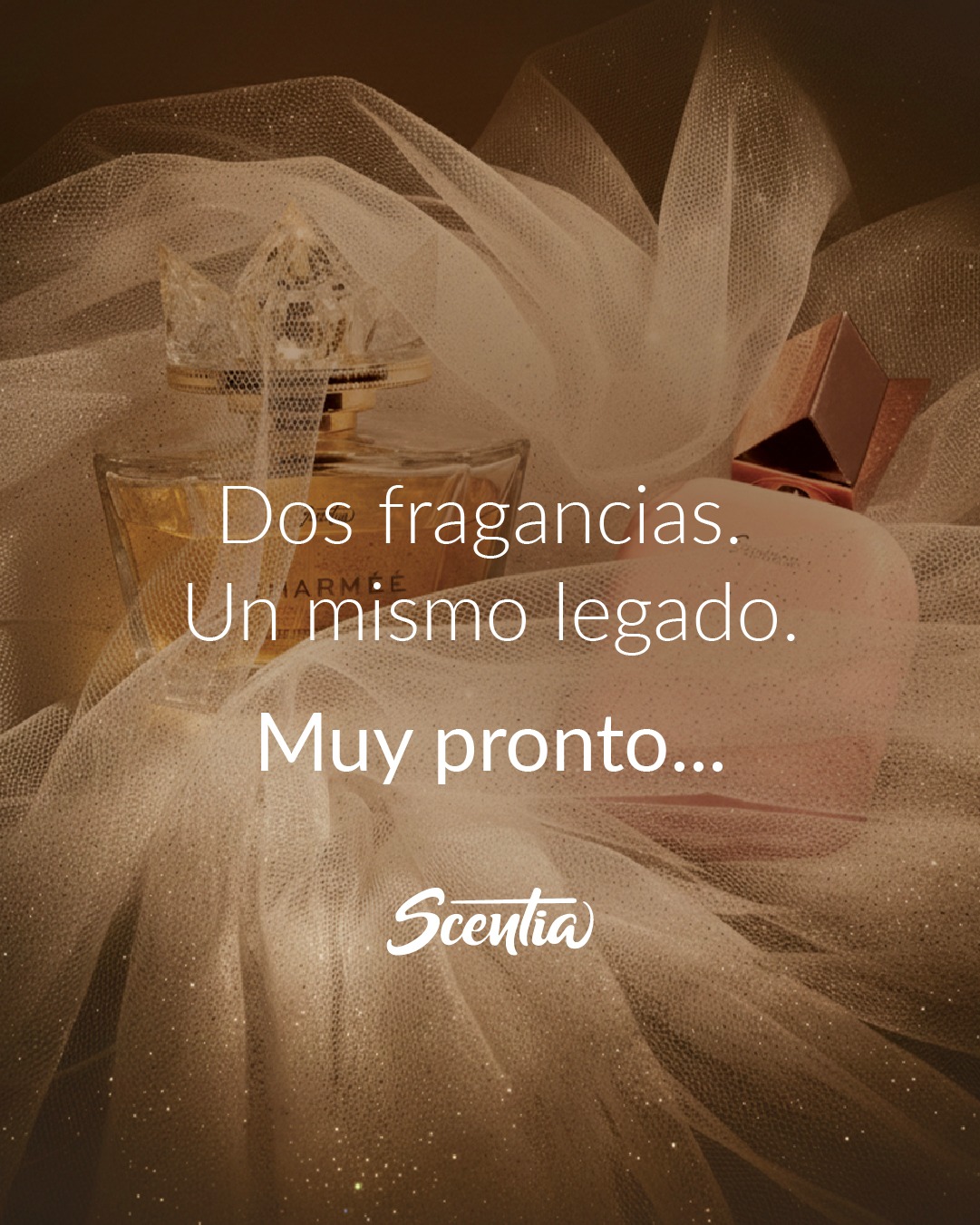 Fragancias que unen generaciones, guardan recuerdos y construyen momentos juntas ¡Prepárate para sentirlo!
#scentia #scentiacentroamerica #bellezaempoderadora #scentiacontigo #protección