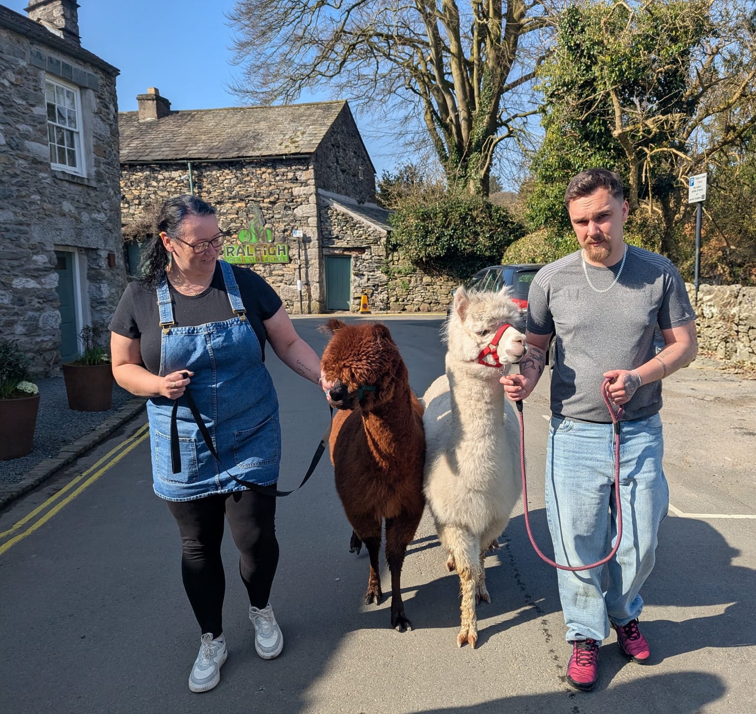 Not your average day out…
🦙 Walk side by side with alpacas
🌿 Explore the beauty of Cartmel at a slower pace
💫 Create a moment you’ll remember
Our alpaca walks are designed to feel relaxed—far from busy, crowded attractions.
Whether it’s a date, a family day, or something just for you… this is your sign to do something different.
📍 Cartmel
🎟 Small group experiences
Book now → https://tr.ee/EUr9Fq
#ReconnectWithNature
#FreshAirTherapy
#mindfulmoments
#AlpacaWalk
#AlpacaExperience
#AlpacaWalks
