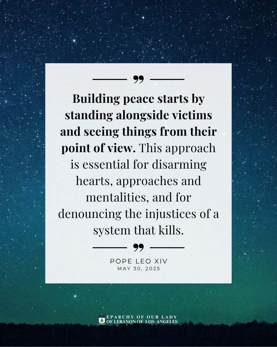 Building peace starts by standing alongside victims and seeing things from their point of view. This approach is essential for disarming hearts, approaches and mentalities, and for denouncing the injustices of a system that kills.
Pope Leo XIV
May 30, 2025