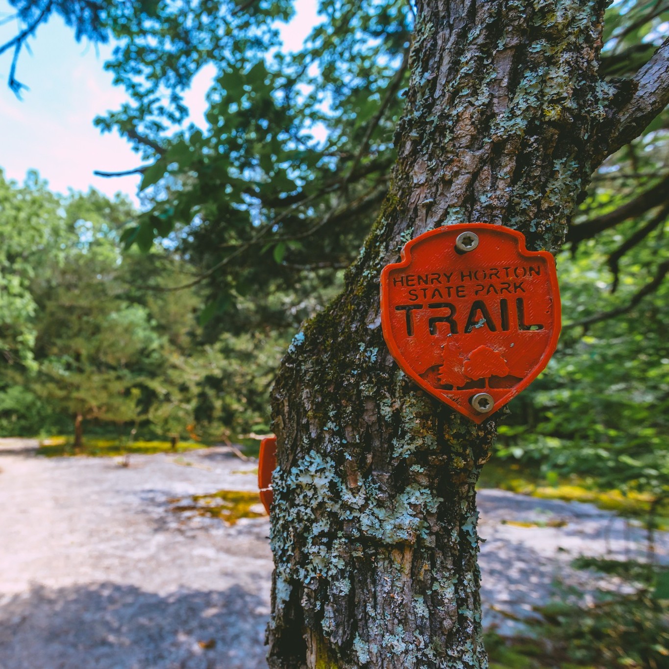 This is your sign to hit the trails this Spring! 🥾🌳
📍Henry Horton State Park
📸: Morrison Visuals
#VisitMarshallTN