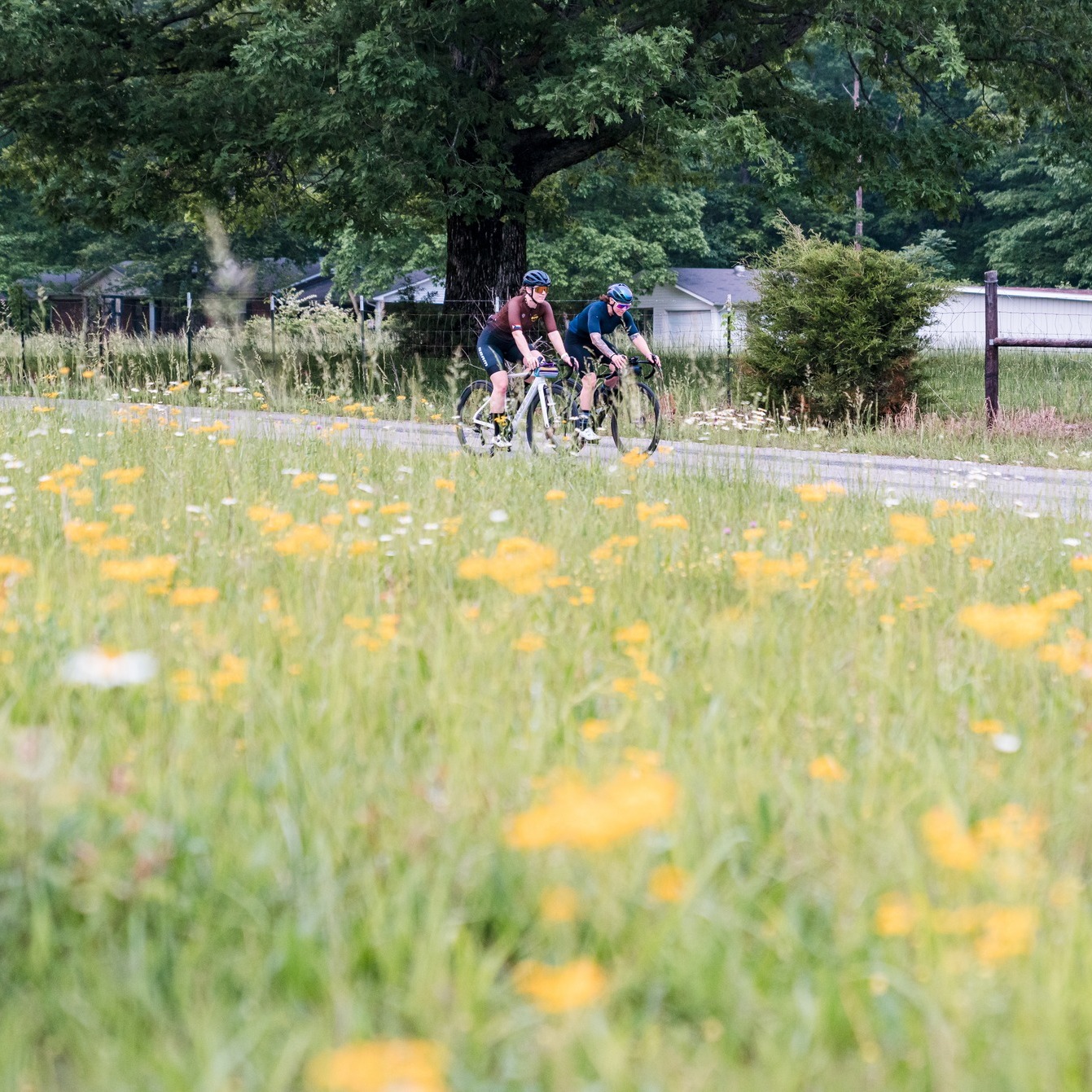 It's Spring in Tennessee, which means it's time to hit the backroads! 🌼
There's no better way to get out in the country than on the Minor Hill Loop 🚲
📍Minor Hill, TN
📸: Bike TN
#VisitPulaski #BikeTN