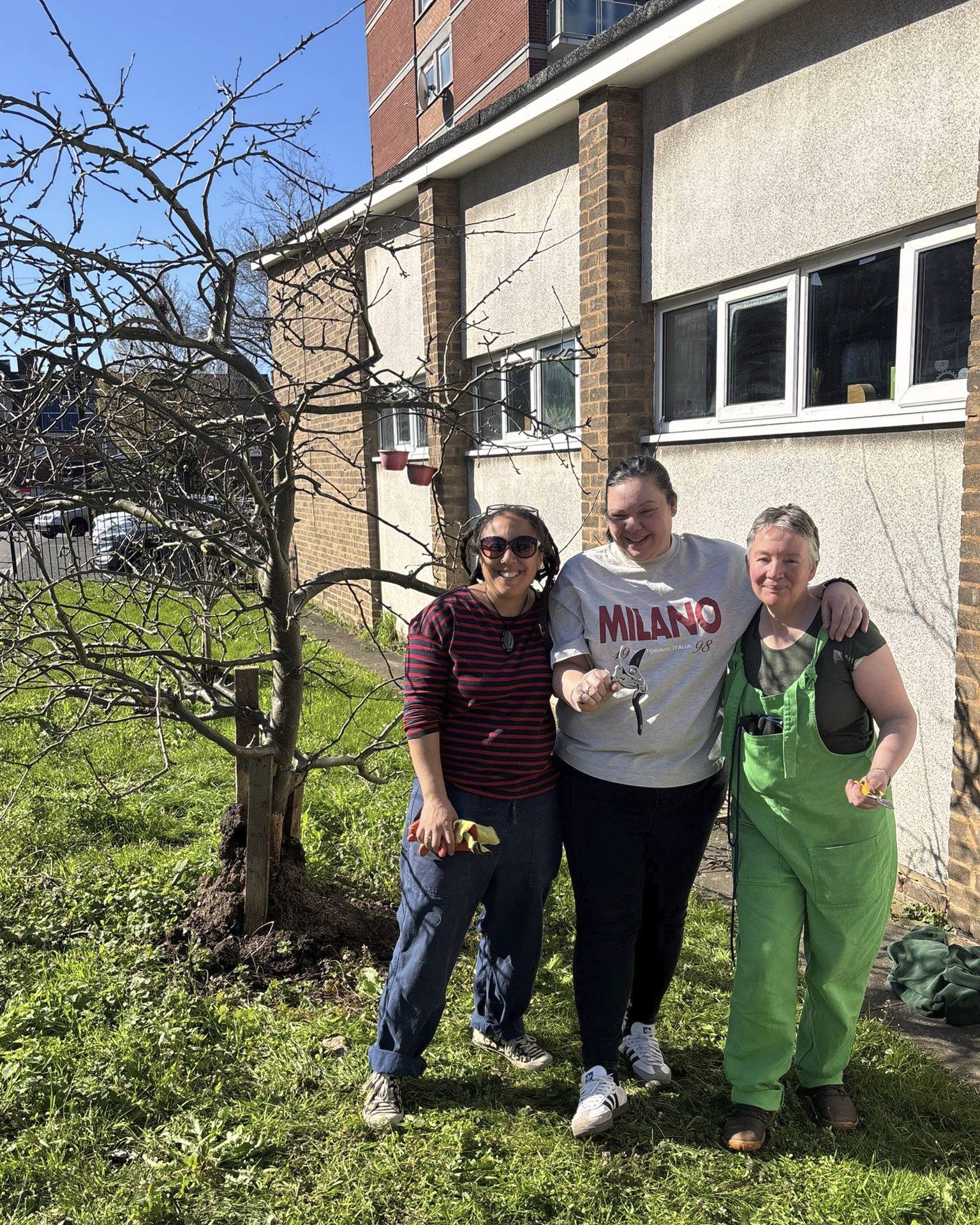 Our session at Stanhope Wellbeing Hub in #Highgate with @tawsociety saw beautiful blue skies, and plenty of teamwork #pruning the #orchard here!