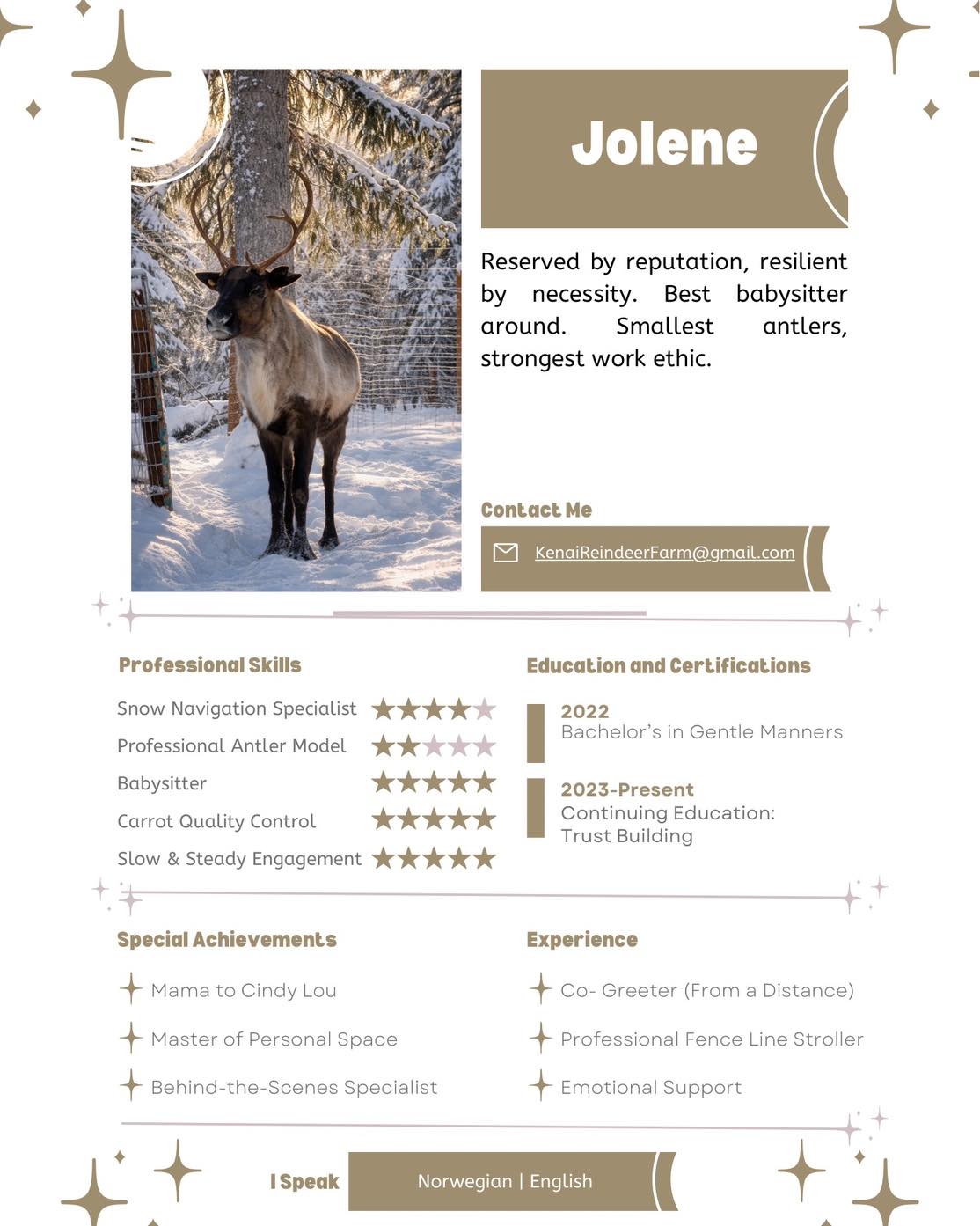 Meet Jolene! She is expecting to have a baby in the next month. #Alaska #meet #expecting #reindeer #mama