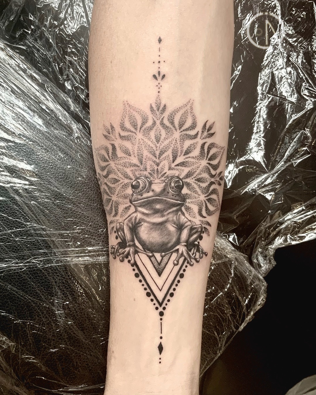 Super fun to do this healer frog piece for Dan. After he being treated with frog medicine ”KAMBO” he was inspired to get this tattoo and learn to be a practitioner so he could medicate and help others too.
It was lovely to meet you and thanks a lot for your trust and good chat.
#whangareitattoostudio #tutukakatattooartist #geometrytattoo #tattooartist #tatuaje #whangareitattooartist #whangareitattoo #dotworktattooartist #finelinetattooartist #blackandgreytattoo #realistictattoo #mandalatattoodesign #kambo #kambotattoo #frogtattoo