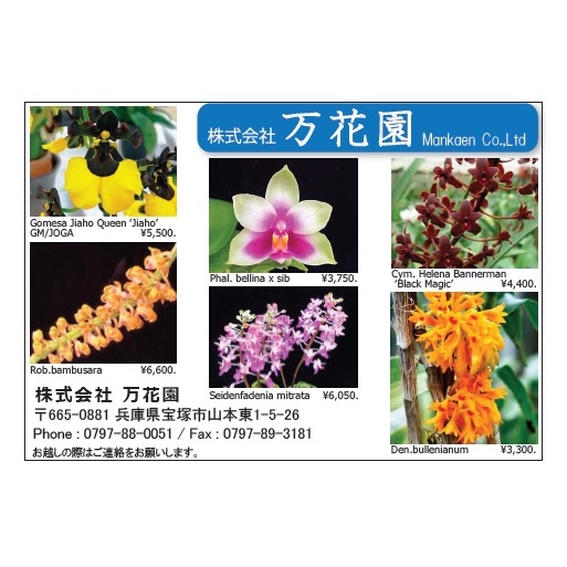 ***JOGAレビュー広告(Web版)*****
万花園
#joga
#orchids
#らん
#蘭
#洋ラン
#joga加盟店
#ジョガ
***JOGAレビューに広告を掲載しませんか?***
#JOGAレビュー はJOGAが発行する洋ランの普及・宣伝が目的の #フリーペーパー です。全国の洋ラン愛好家に親しまれ、#ラン展、イベントでも配布されるほか、全国約130の愛好家団体へ配布されています。
★JOGAレビューの記事はずっと役立つ情報が盛りだくさん。ずっと手元に置いていただけます。
★JOGAレビューのバックナンバーはJOGAウェブページで公開しているのでいつでもお読みいただけます。(https://www.joga.or.jp/)
★広告サイズもお選びいただけます。ご興味のある方はぜひJOGAまでお問い合わせください。