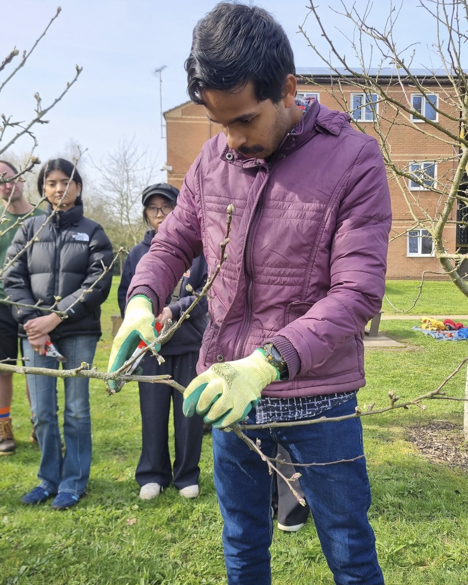 A warm welcome from @uobconservation at @unibirmingham on the 20th, working with Grounds Management and student #volunteers to #WinterPrune the #TennisCourtOrchard.