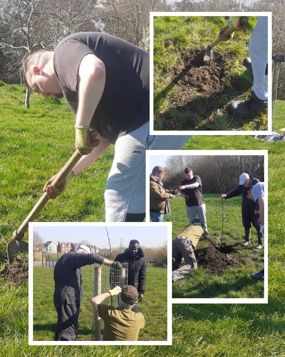Adding MORE #FruitTrees to #SouthernDriveOrchard in #DruidsHeath last week. Beautiful people under a beautiful sky, as the Spring is now upon us! There is an impressive little collection of trees here now, and everyone should come and visit the site to see the orchard for themselves!