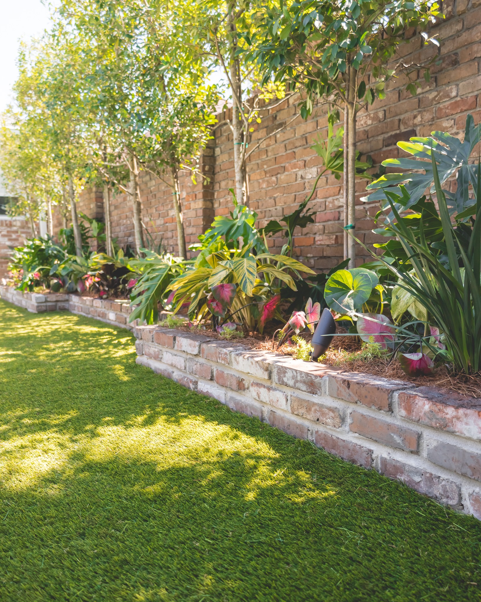 Before we show you the full reveal… 👀
Here’s a look at that fresh turf install.
▫️ ▫️ ▫️ ▫️ ▫️ ▫️ ▫️ ▫️ ▫️ ▫️
#turftuesday #thegardengateslandscapecompany #landscapedesign #residentialdesign #residentiallandscapedesign #neworleanslandscapes #pavers #thegardengateslandscapecompany #neworleans #metairielandscapes #design #iheartnola #artificialturf #turf #design