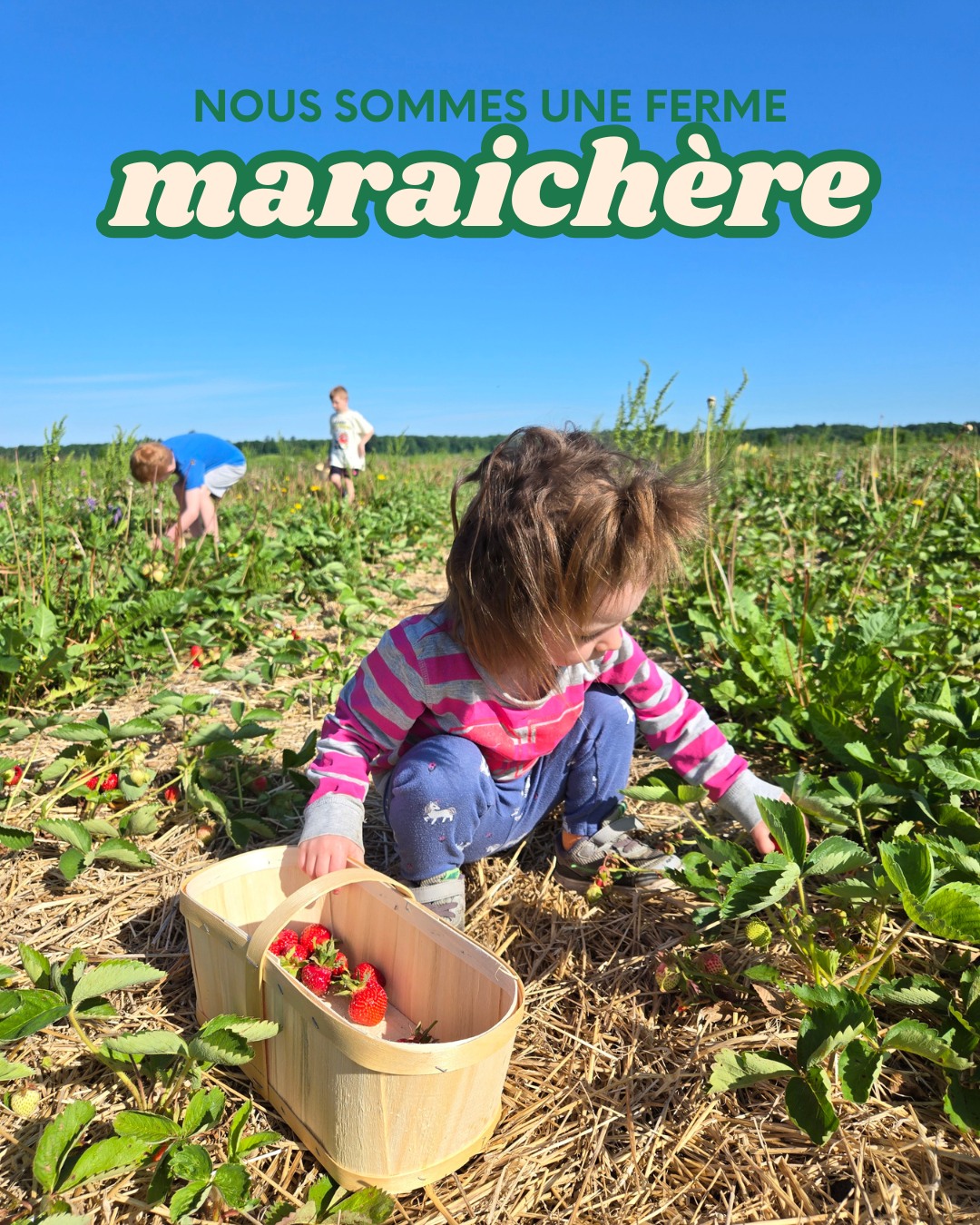 Nous sommes...une famille qui aide d'autres familles à bien se nourrir! www.fermeentrecieletterre.com