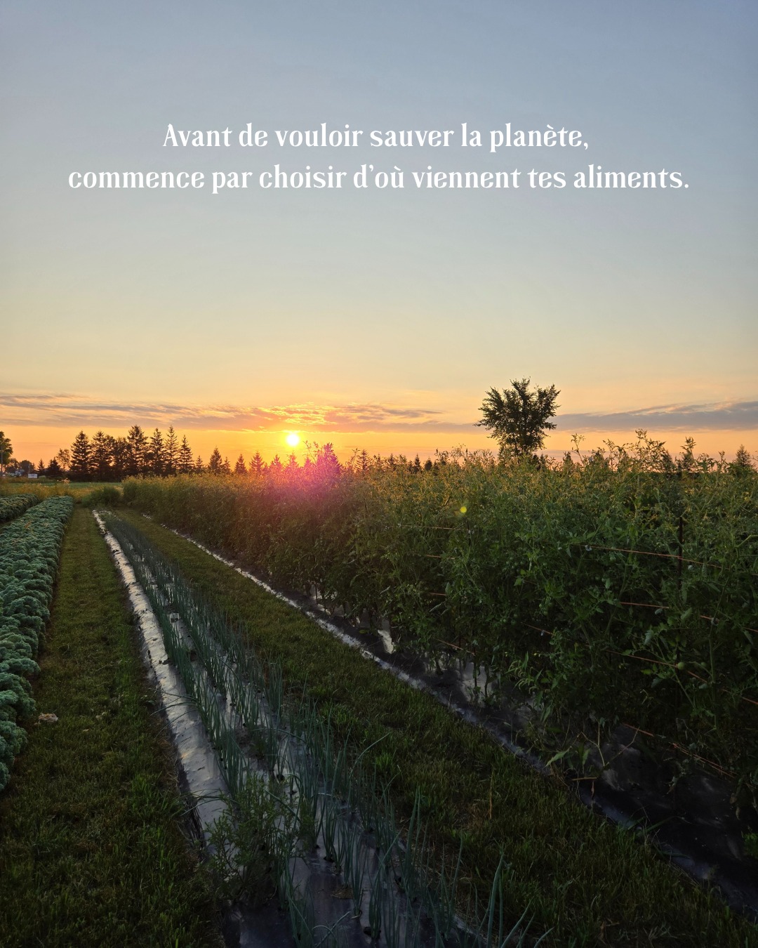 Les gens veulent changer le monde.
Mais toi…tu manges quoi aujourd’hui?
Chaque repas compte.
Inscris-toi à ton panier.
www.fermeentrecieletterre.com